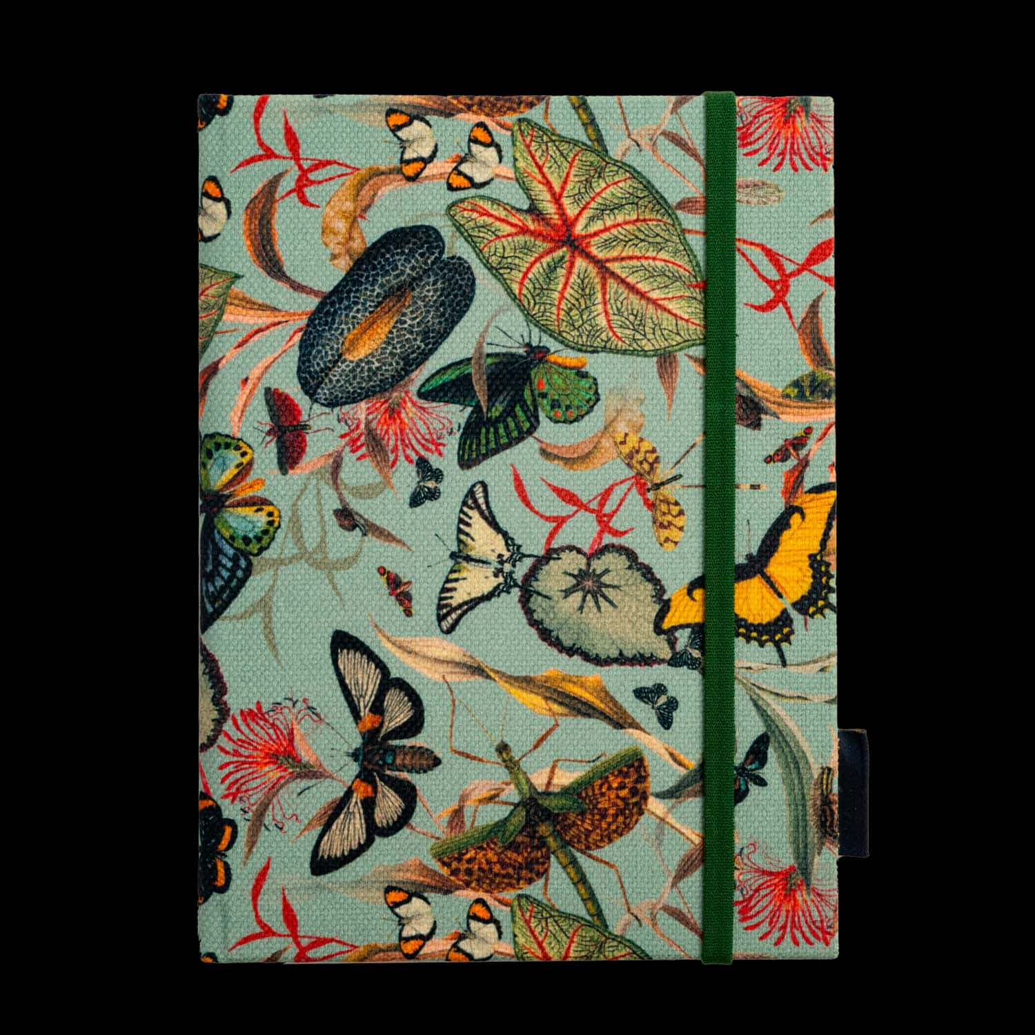 Agenda - Butterfly Aqua