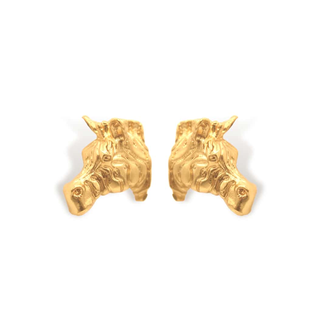 Aretes de cebra