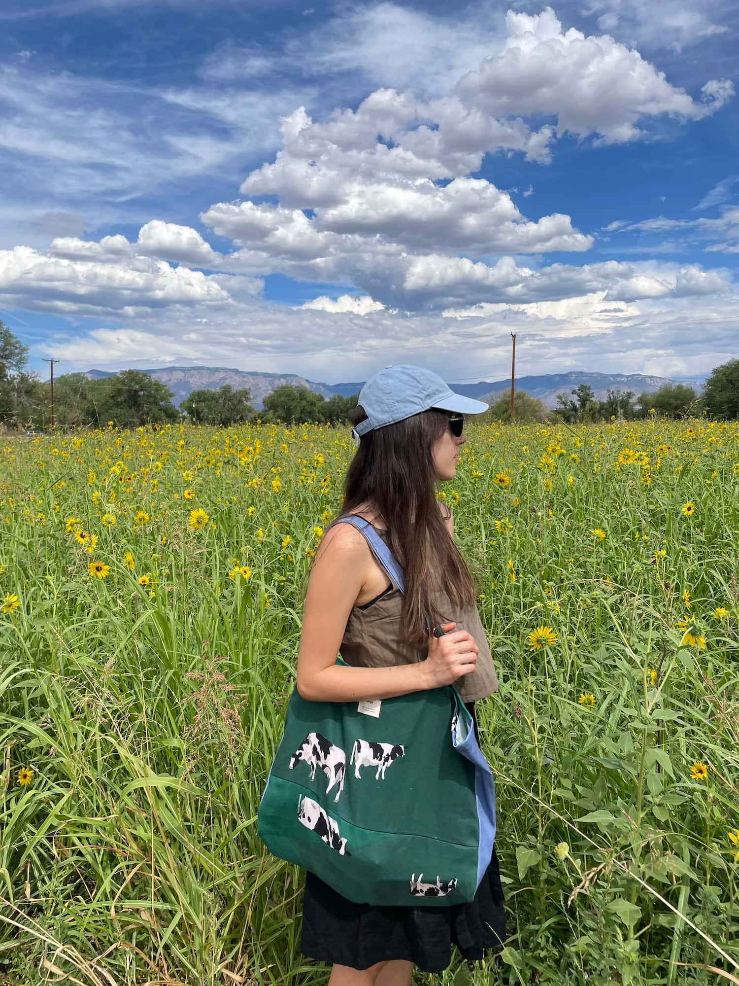 Tote bag MONTAÑAS - miniatura 2