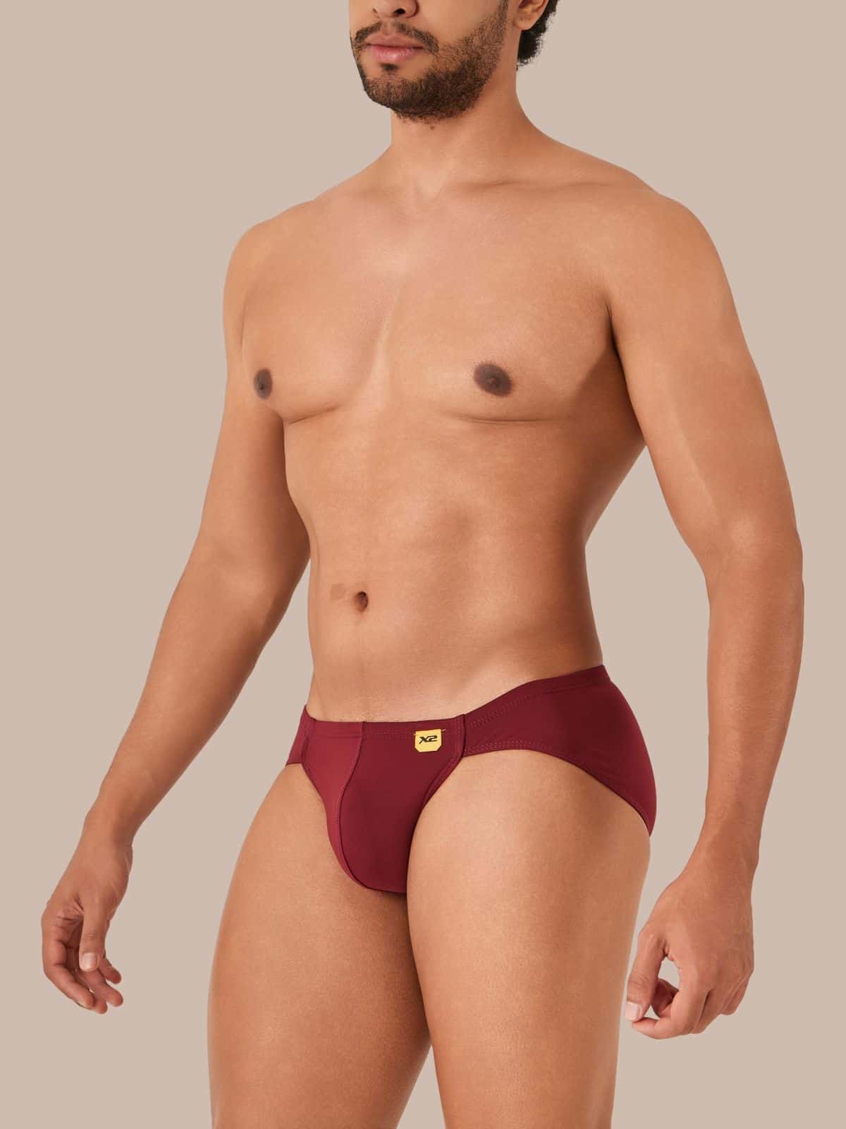 Bikini Tipo Brief Monumental Nylon Vino X2