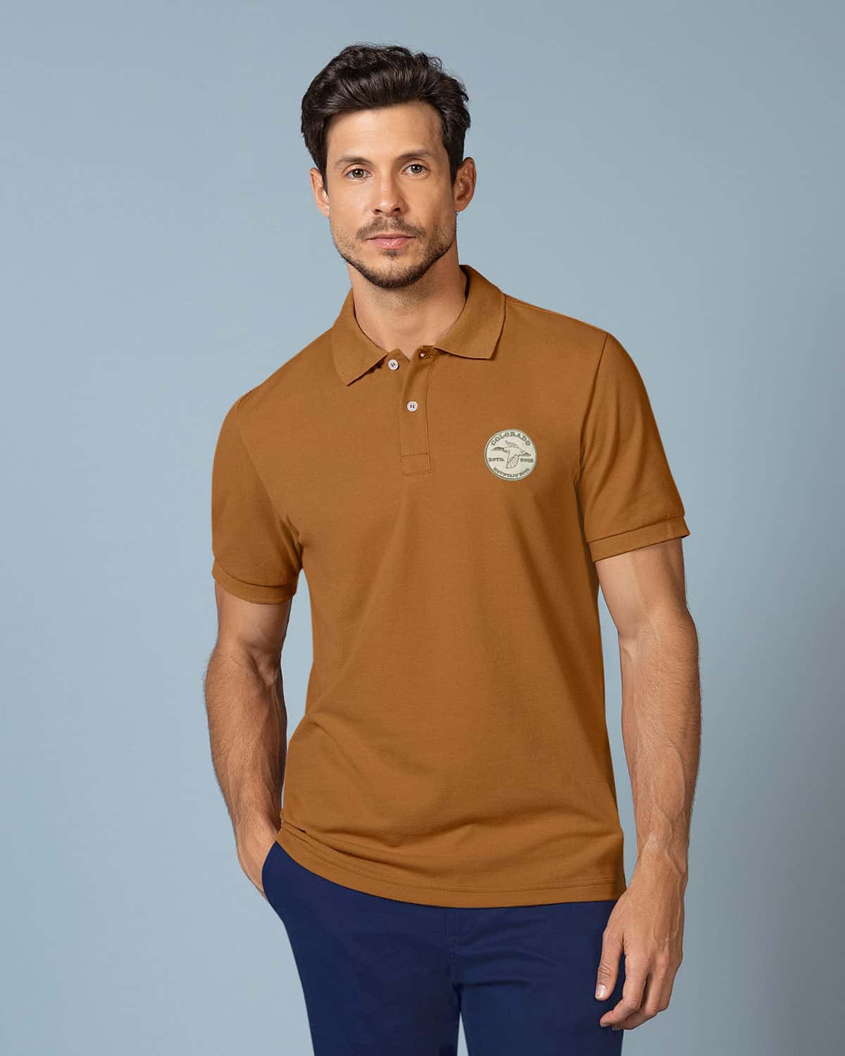 Camiseta tipo polo con aplique bordado