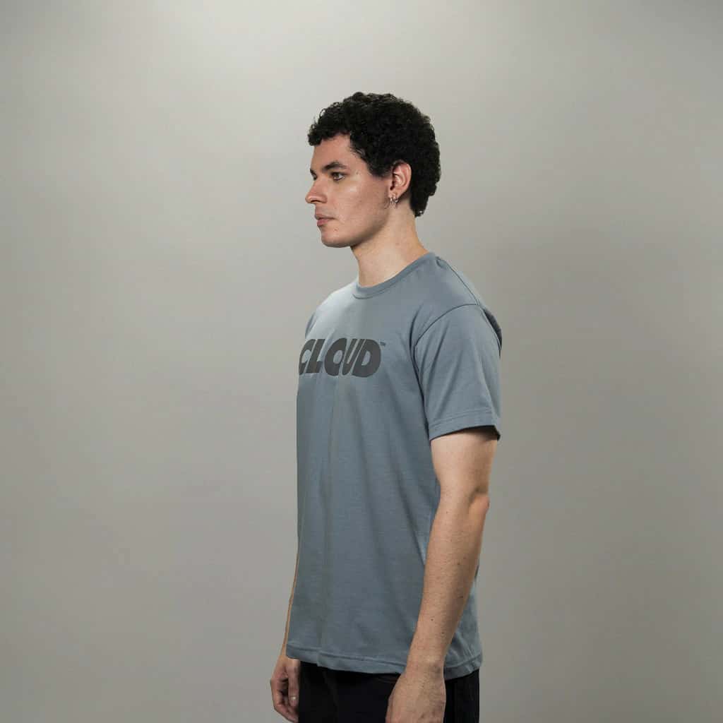 Camiseta BLOCK gris sobre gris (Regular fit) - miniatura 6