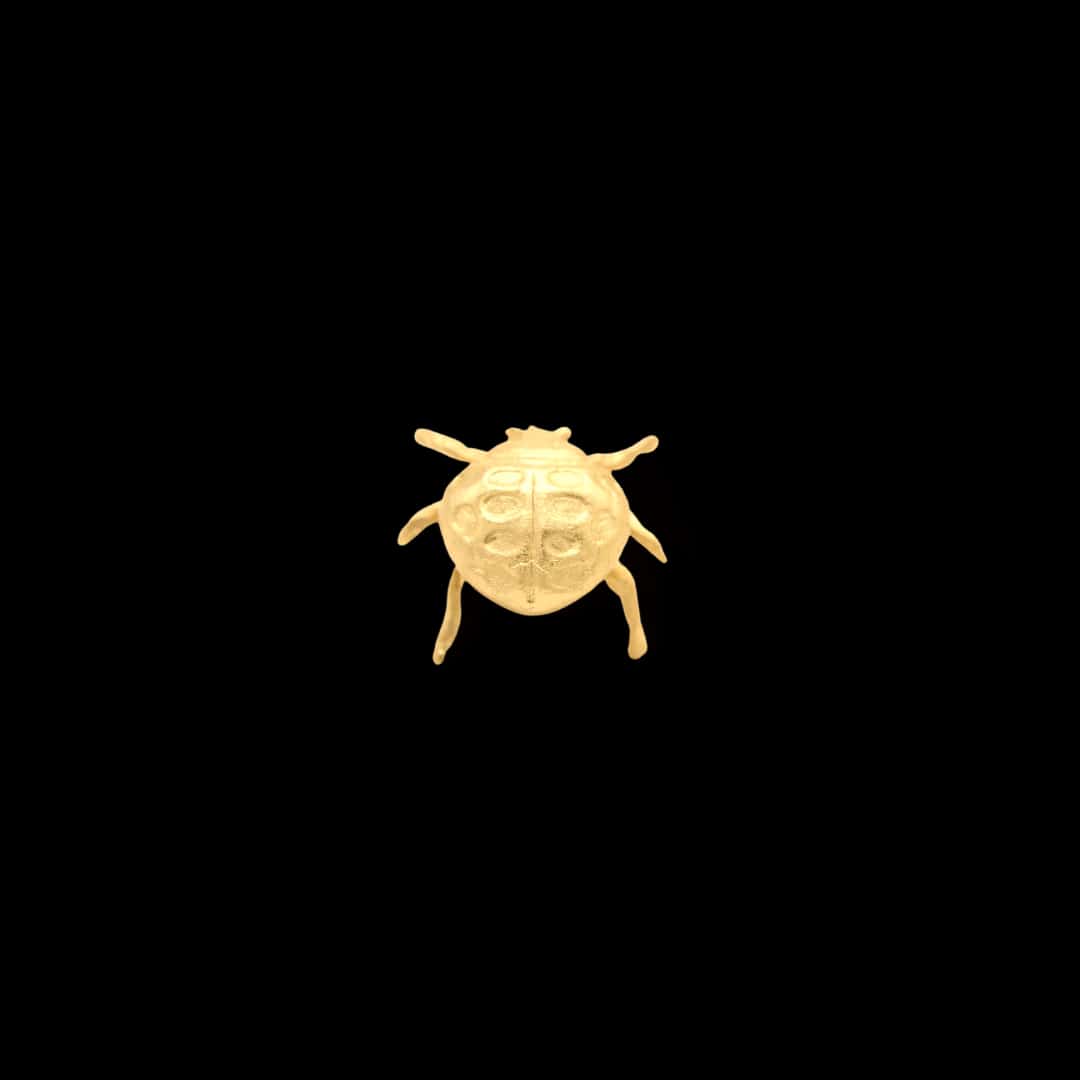 Pin de mariquita pequeña