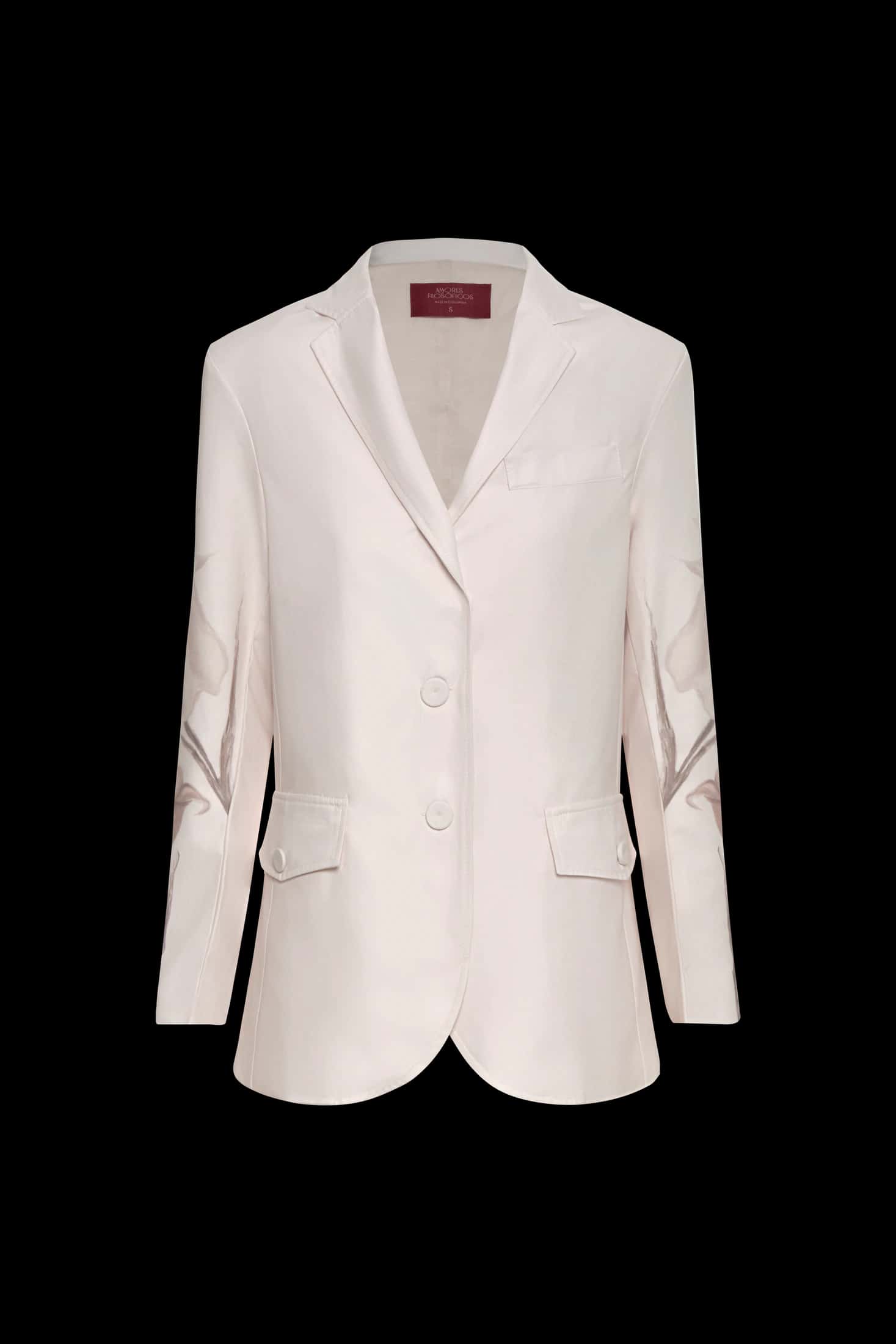 METAFORAS DEL VIENTO BLAZER