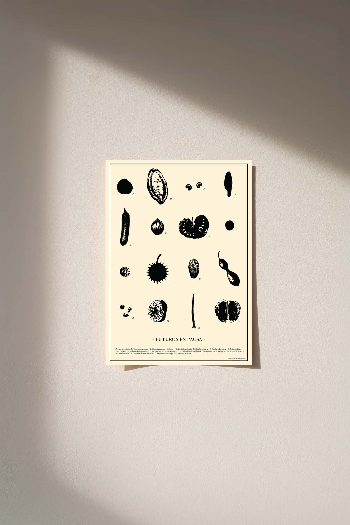 POSTER  30x40 -  FUTUROS EN PAUSA