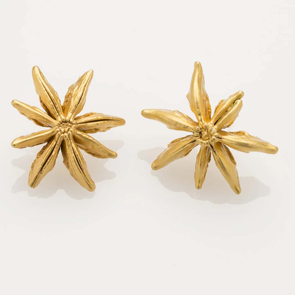Star Anise Studs