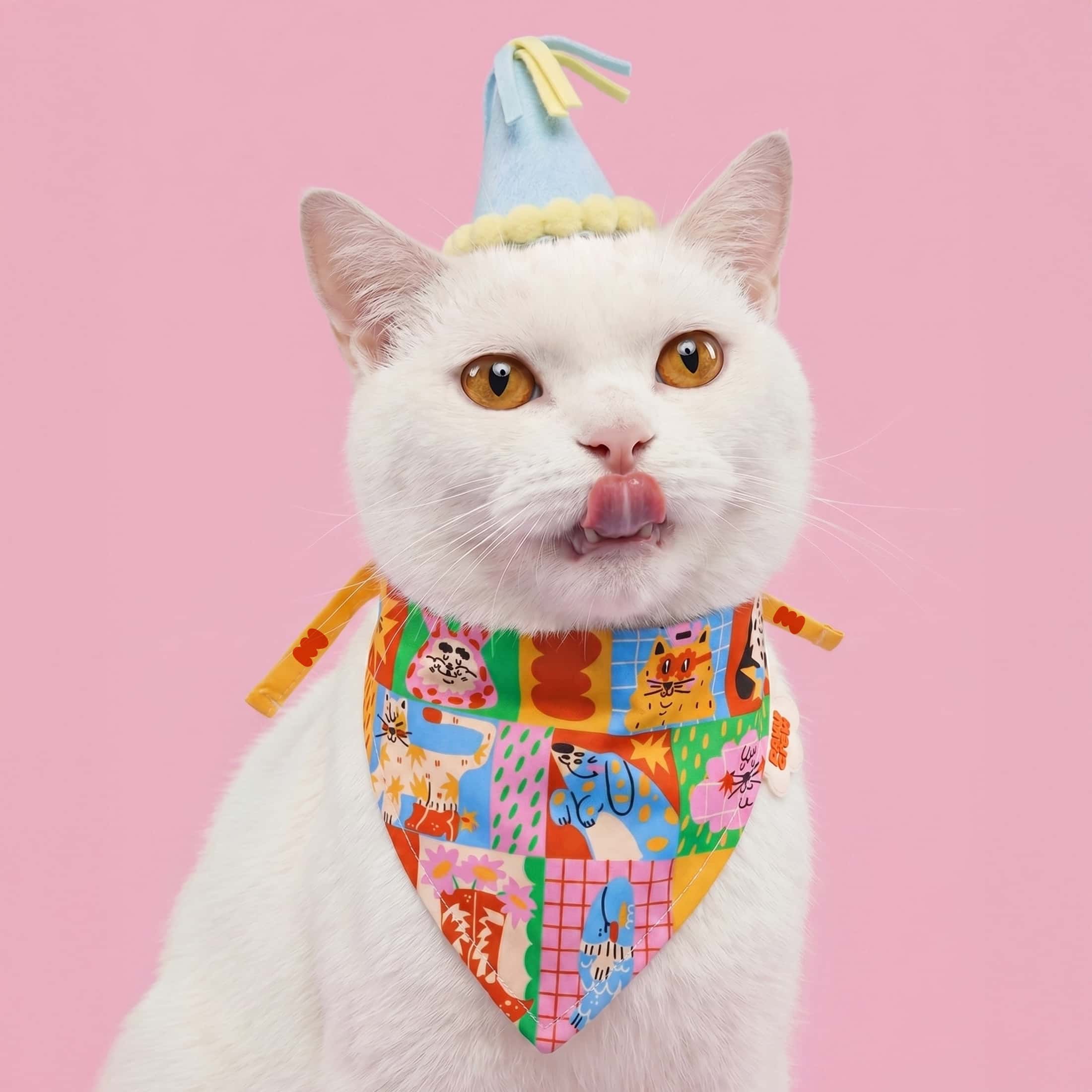 🎈✨ Pañoleta Party