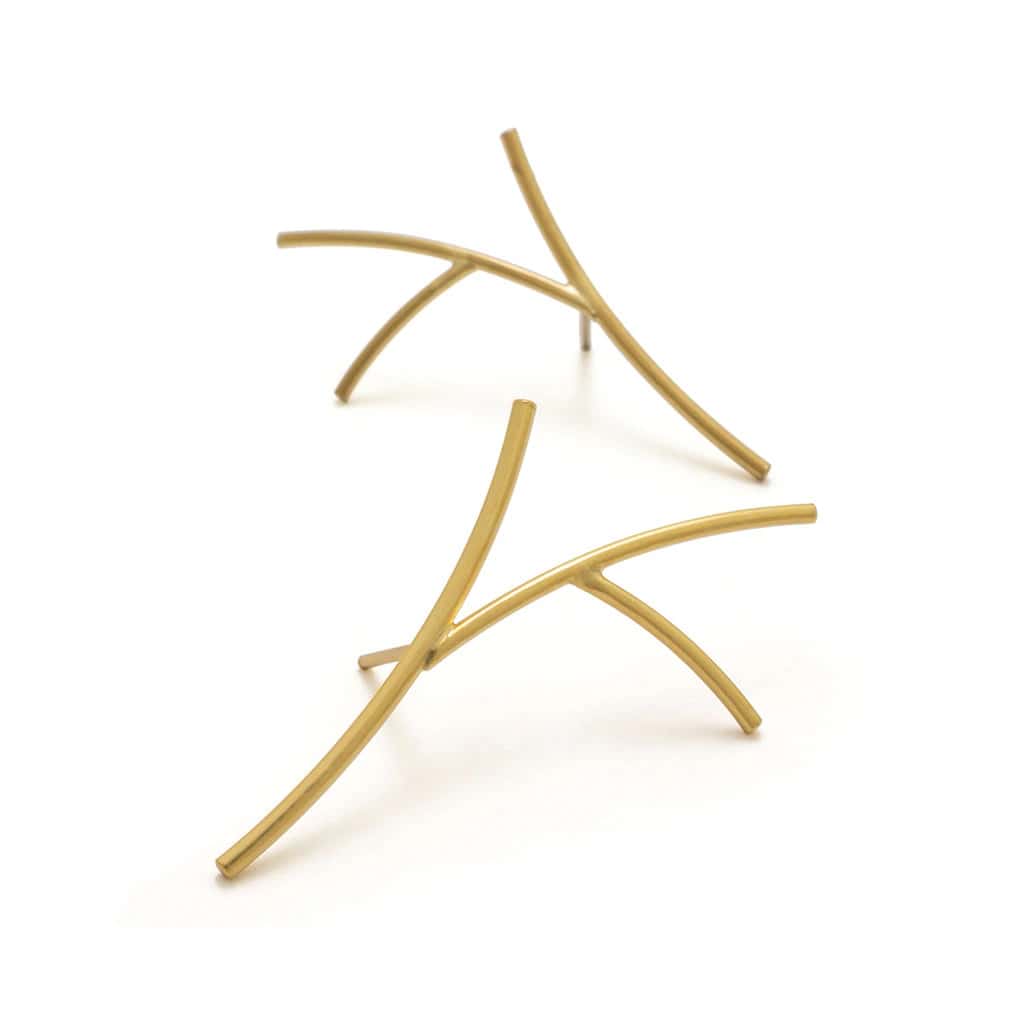 Aretes rhipsalis