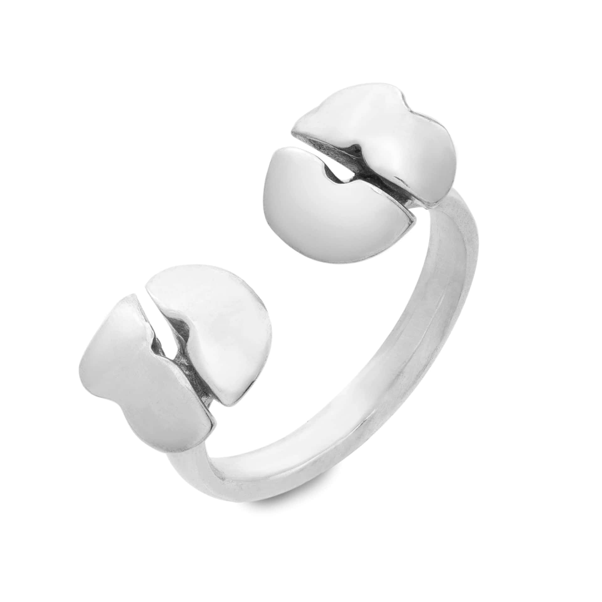Anillos