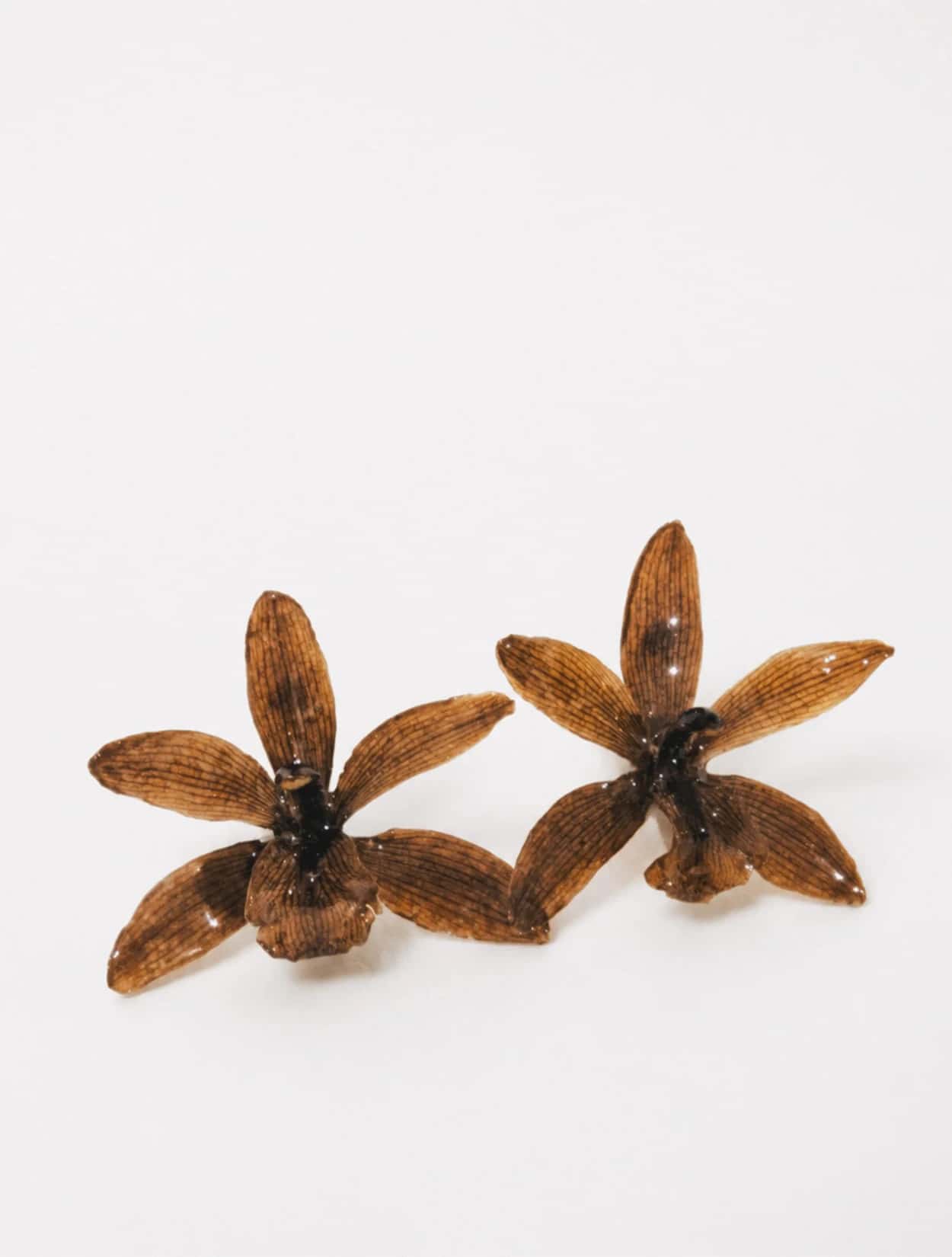 ARETES ADA