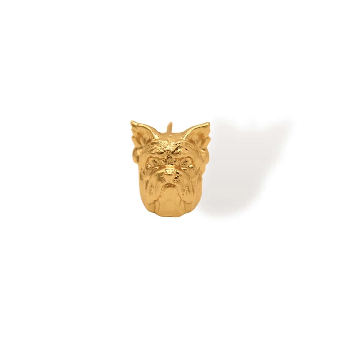 Pin de yorkie
