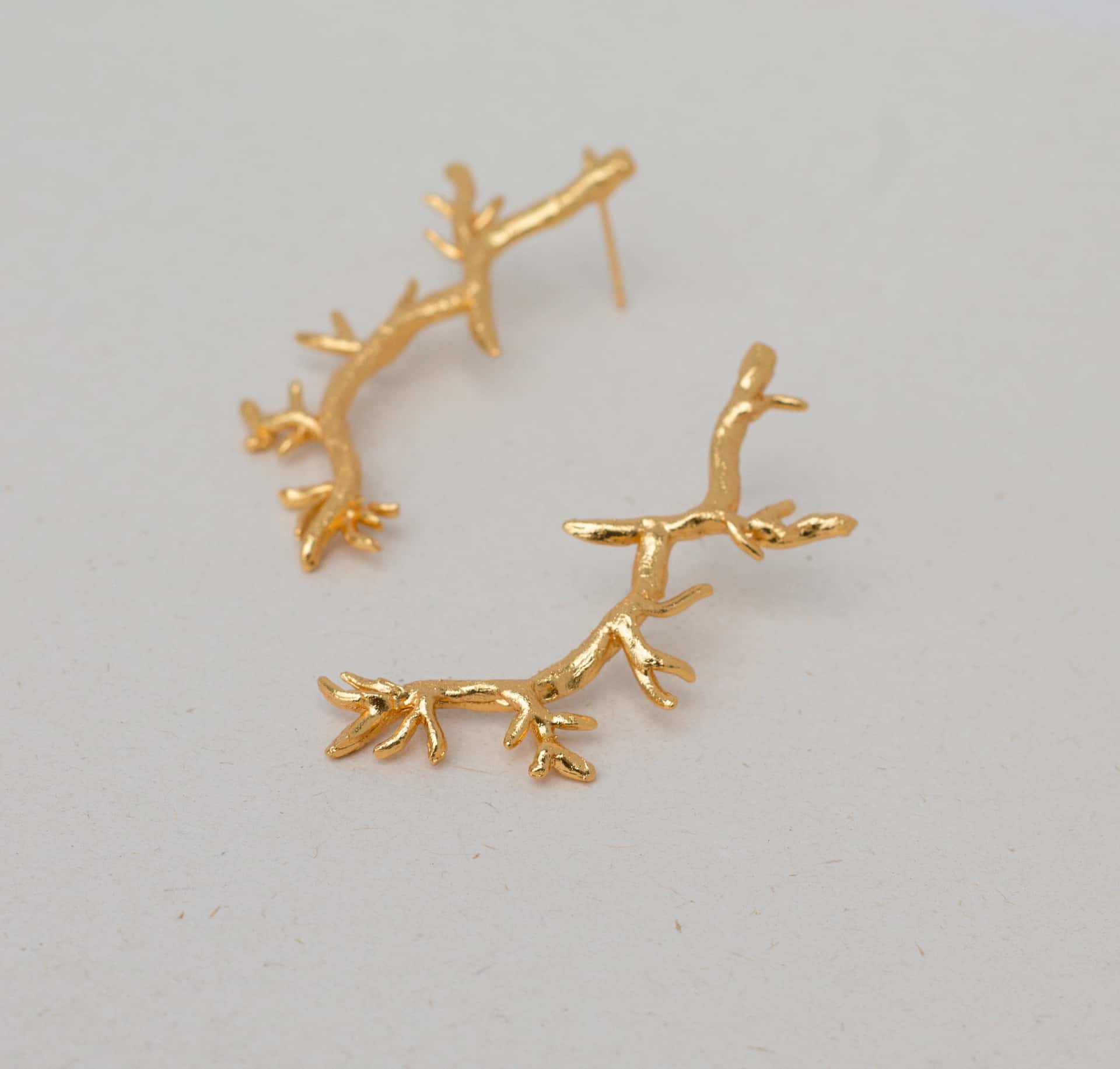 Aretes Chamizo