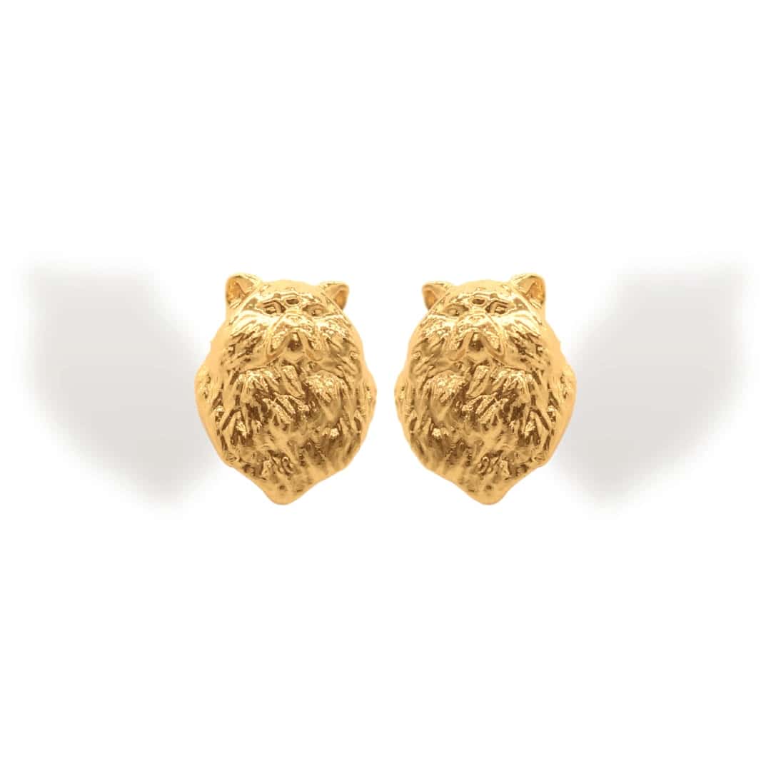 Aretes de gato peludo
