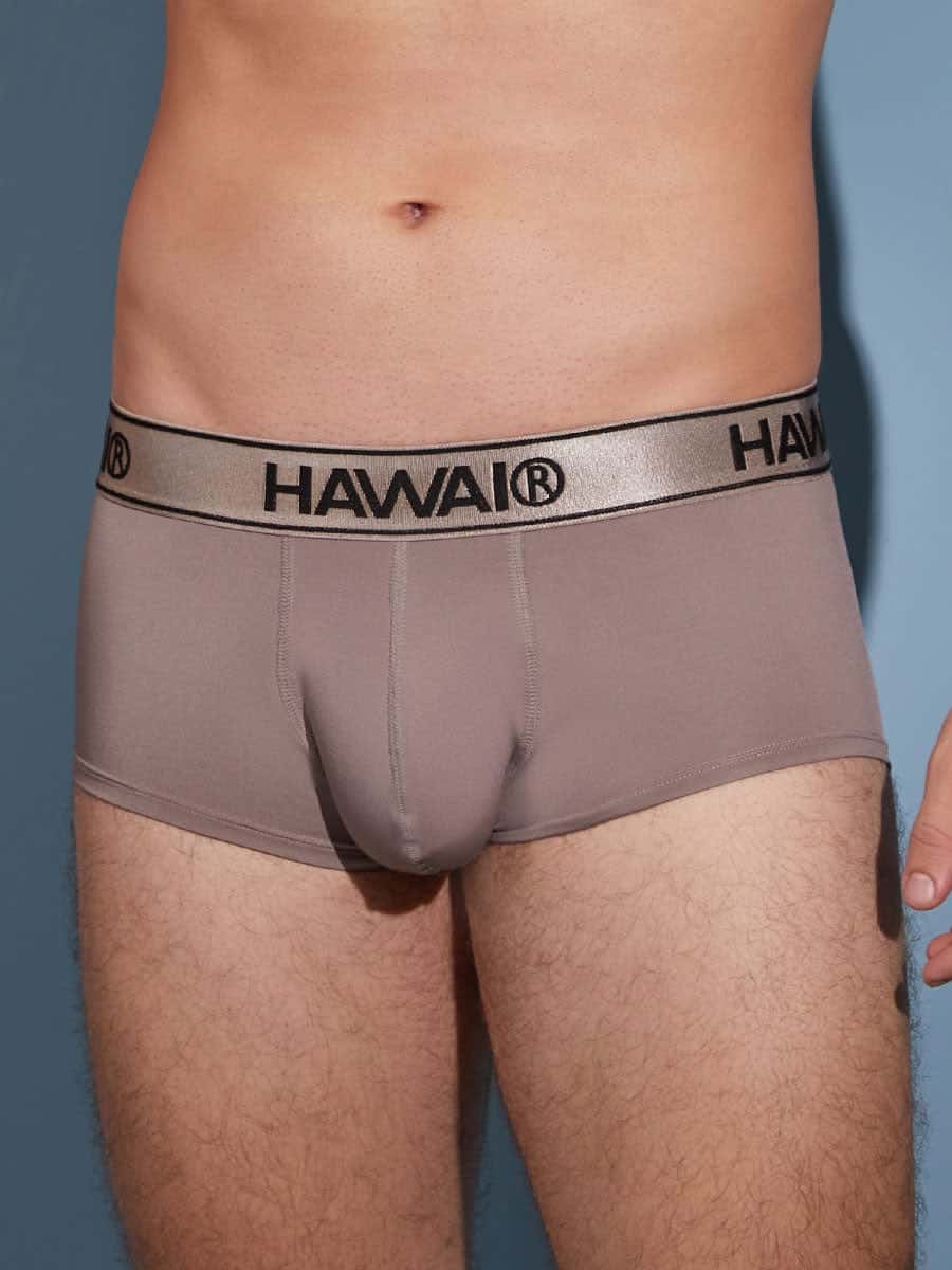 Brief Para Hombre en Microfibra Color Marrón Claro