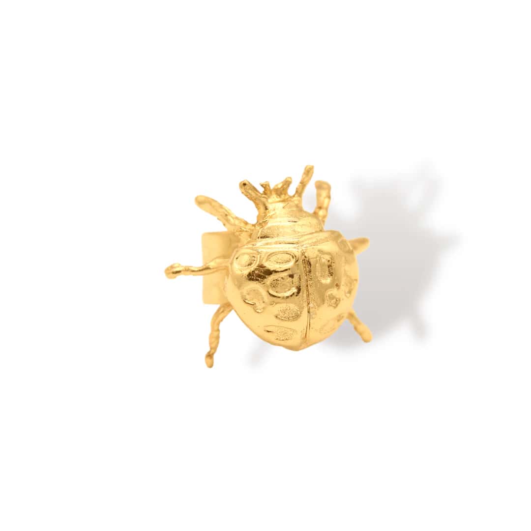 Anillo de mariquita grande