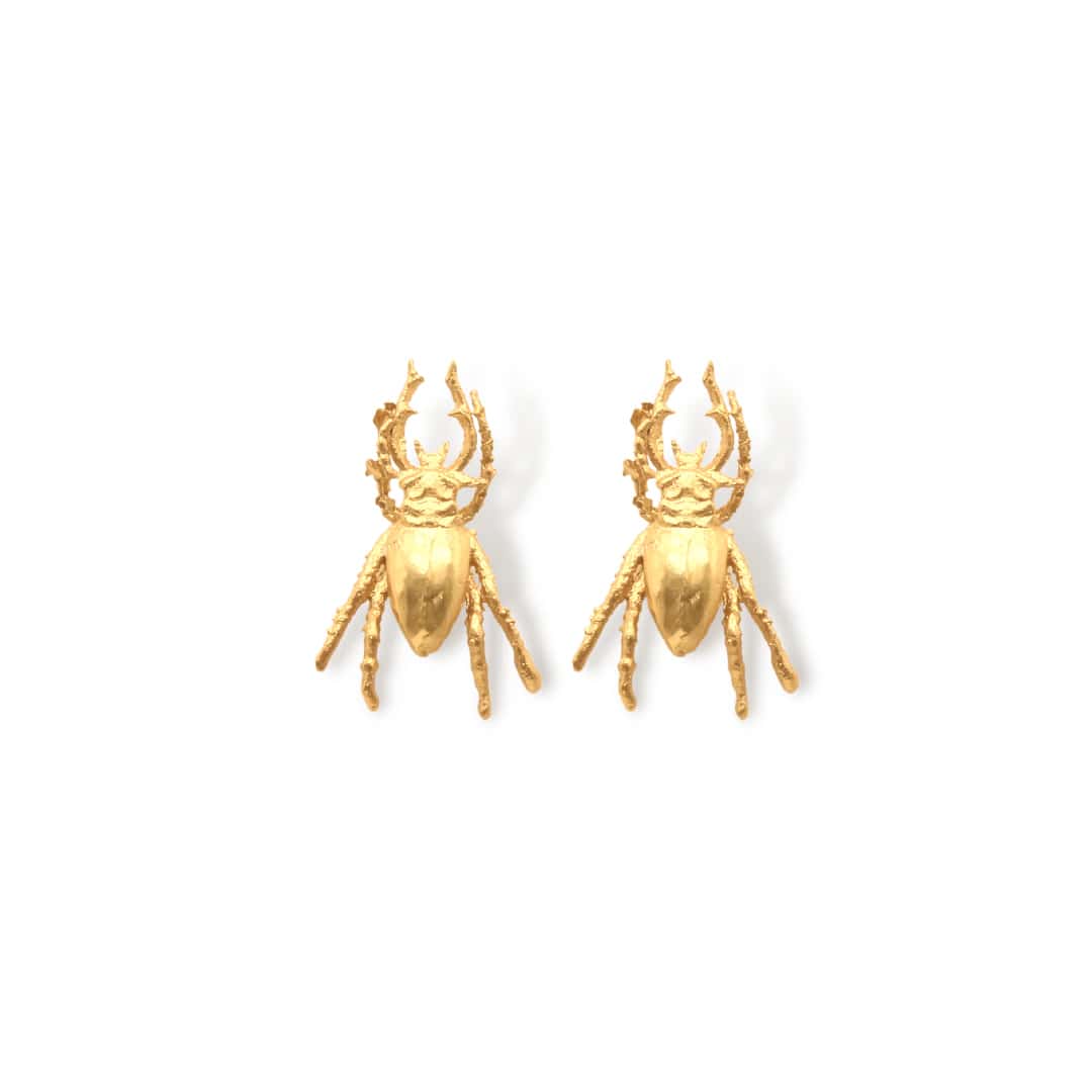 Aretes de escarabajo