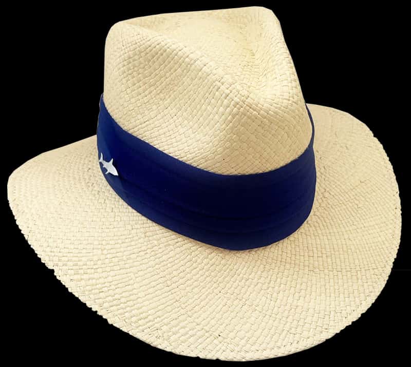 SOMBRERO CLARO CINTA ANCHA AZUL