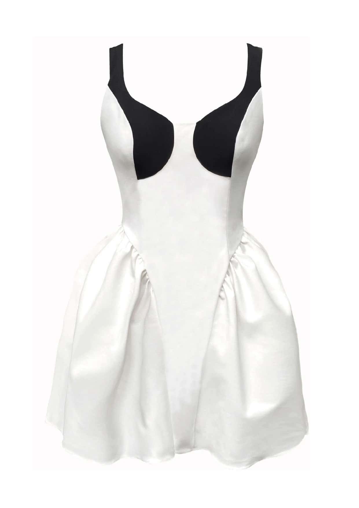 Cisne Mini Dress - miniatura 1