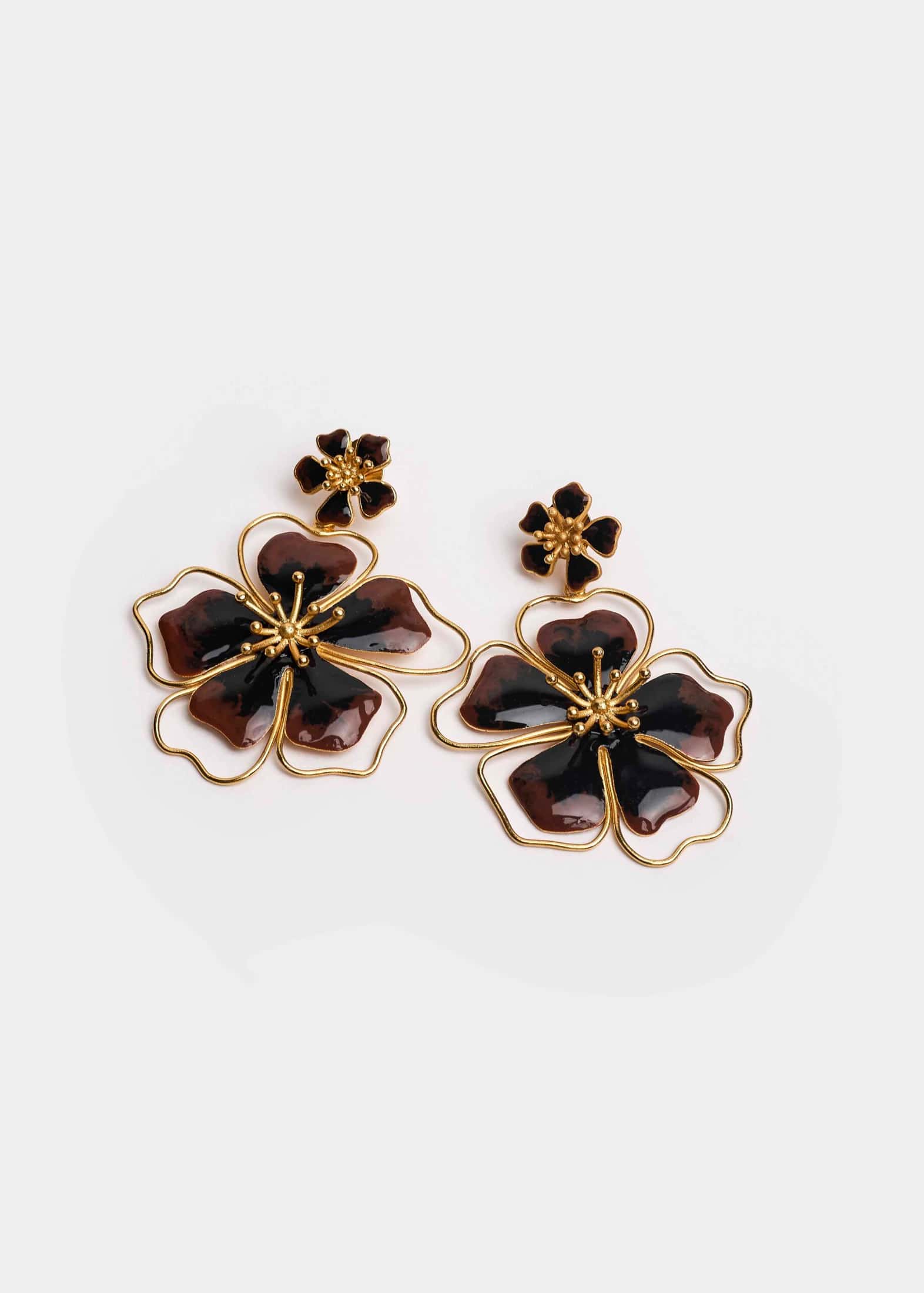 Aretes Andreae Negro
