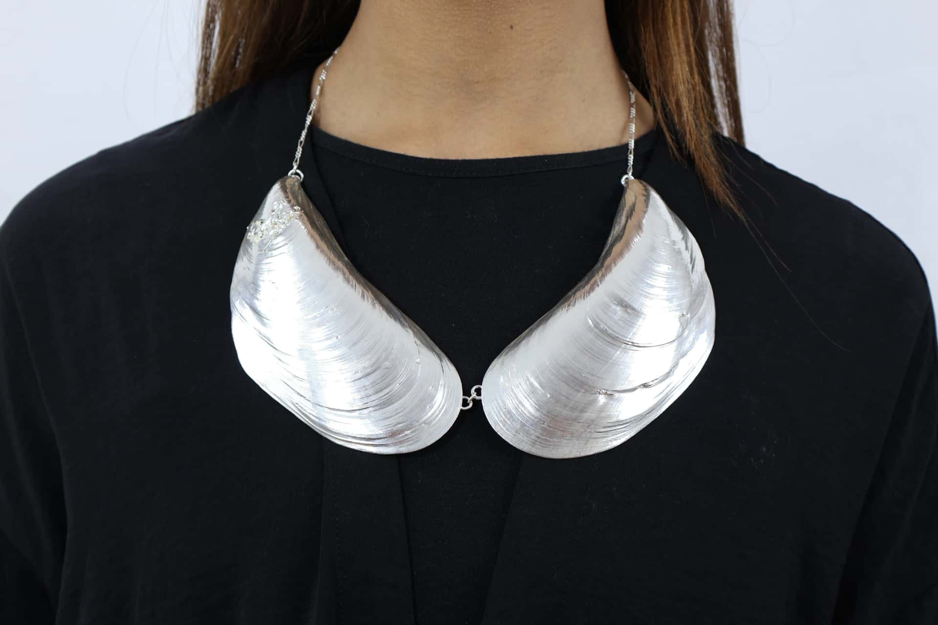 BIB