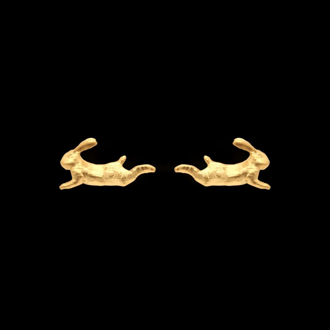 Aretes de liebre saltando
