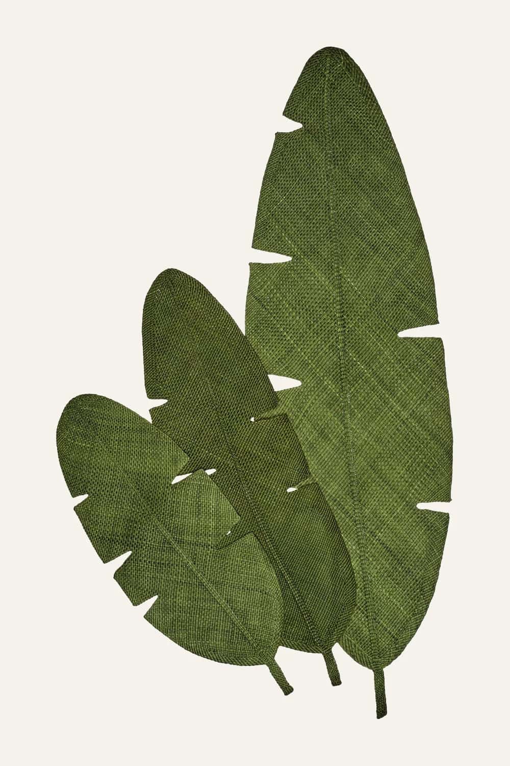 Mythic Ecosystem Maxi Table Mats in Green Set of 3