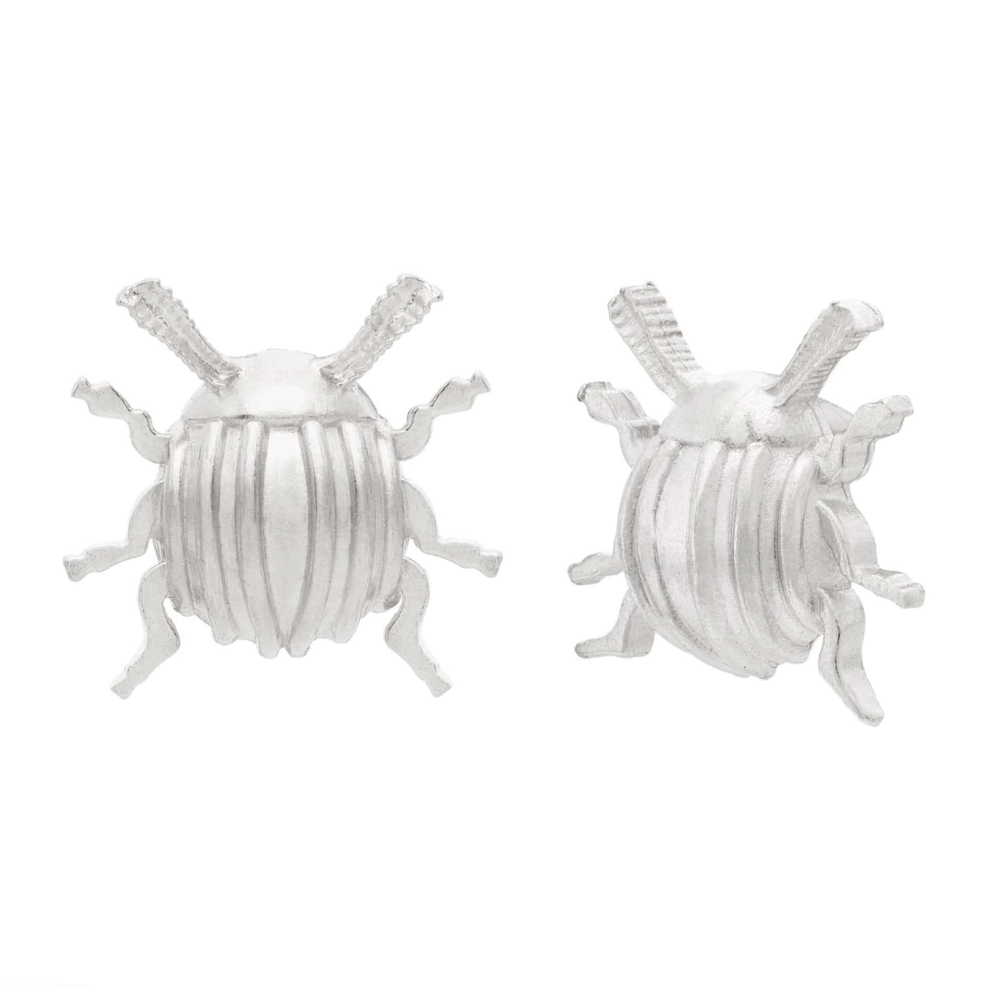 XL Beetle Earrings