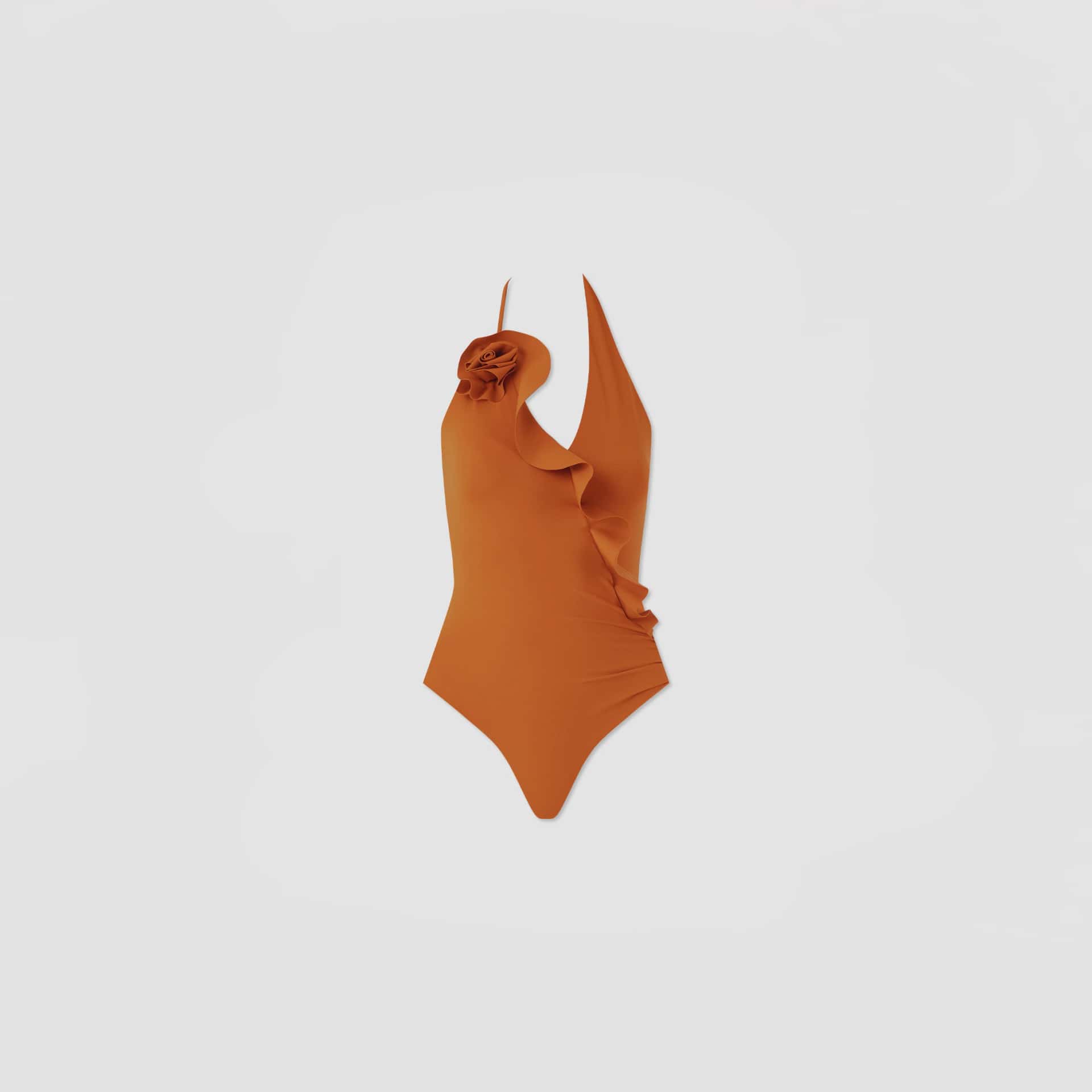 NORI - miniatura 1