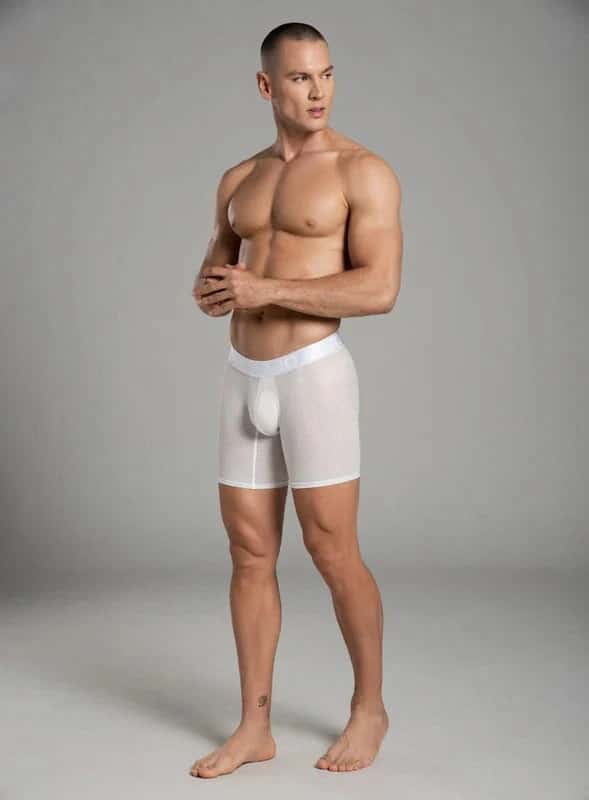 BOXER LARGO MICROFIBRA ZEUS


TALLA S - M - L - XL
