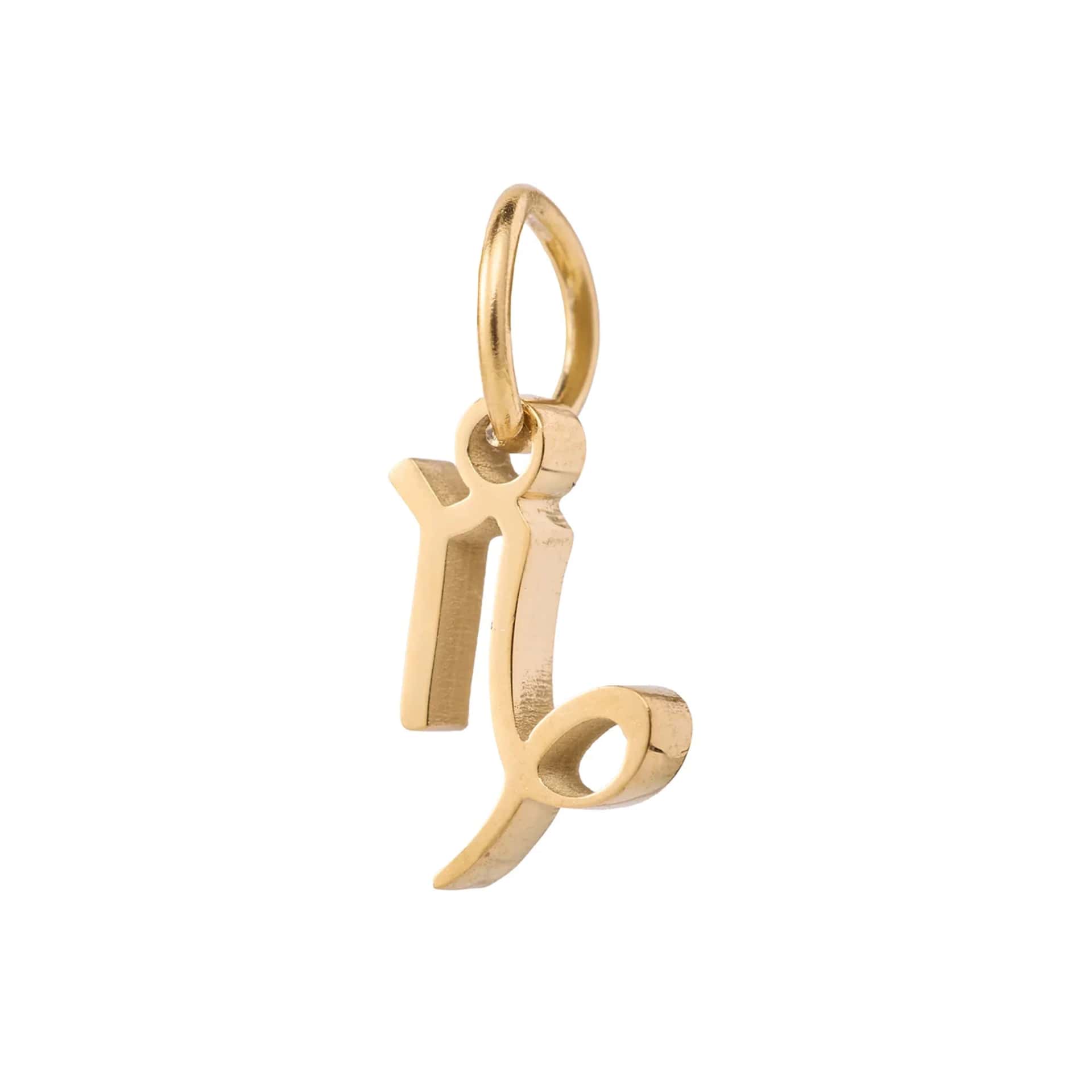 Charm Capricornio