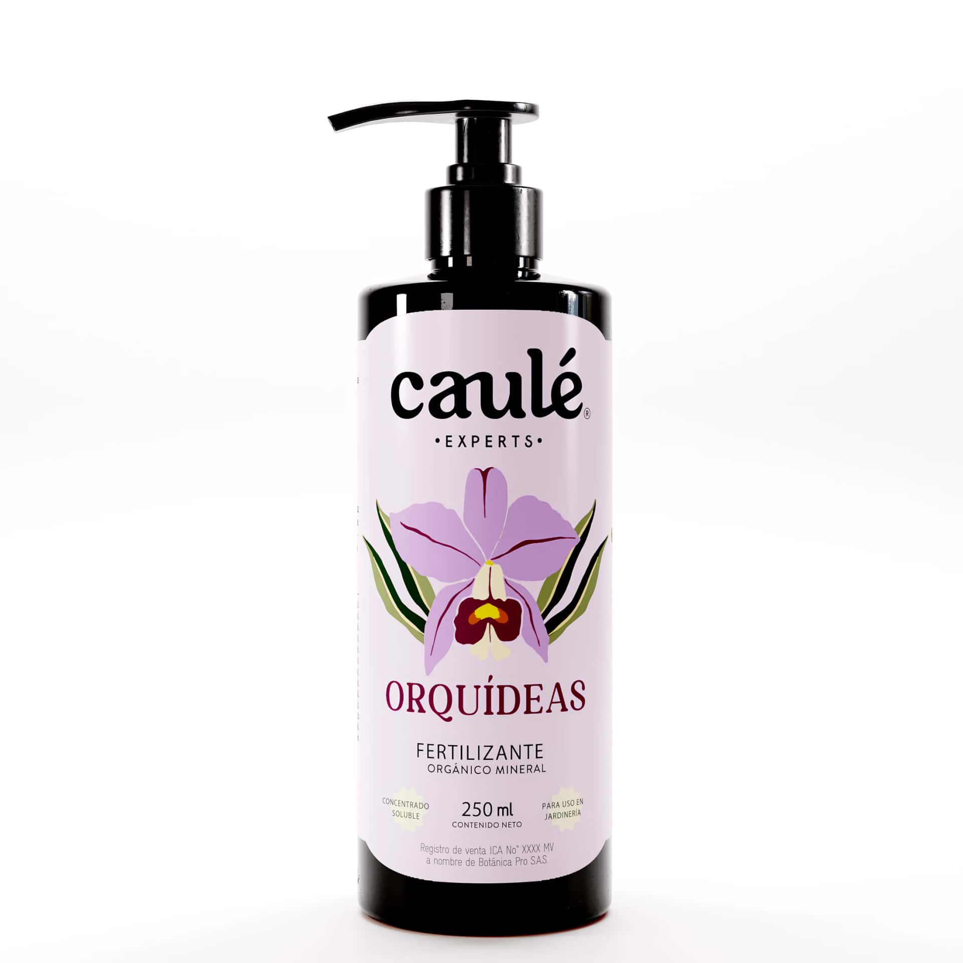 Caulé Orquídeas