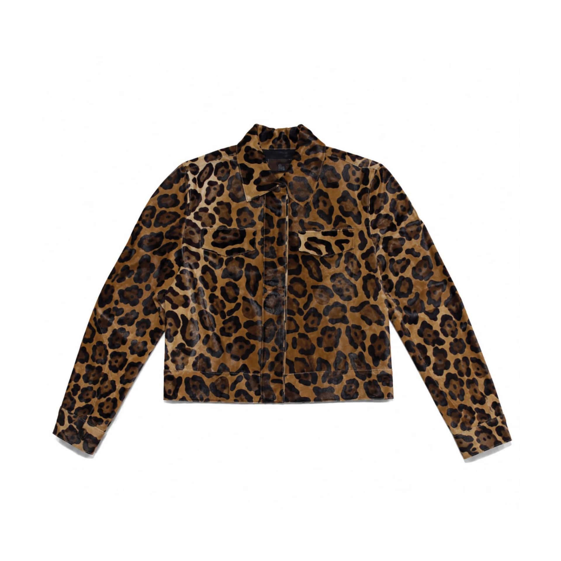 Aquiraz Jacket