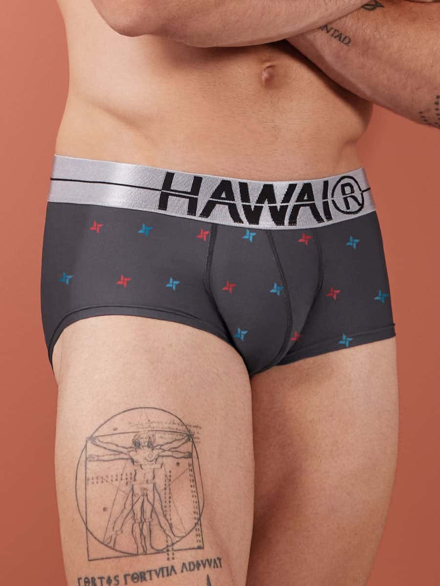 Brief Estampado Para Hombre Color Gris