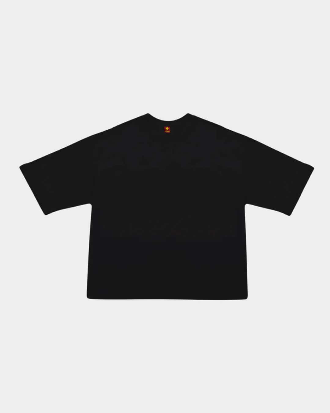 CAMISETA BOXY FIT BLANCO SOBRE NEGRO AR - miniatura 2