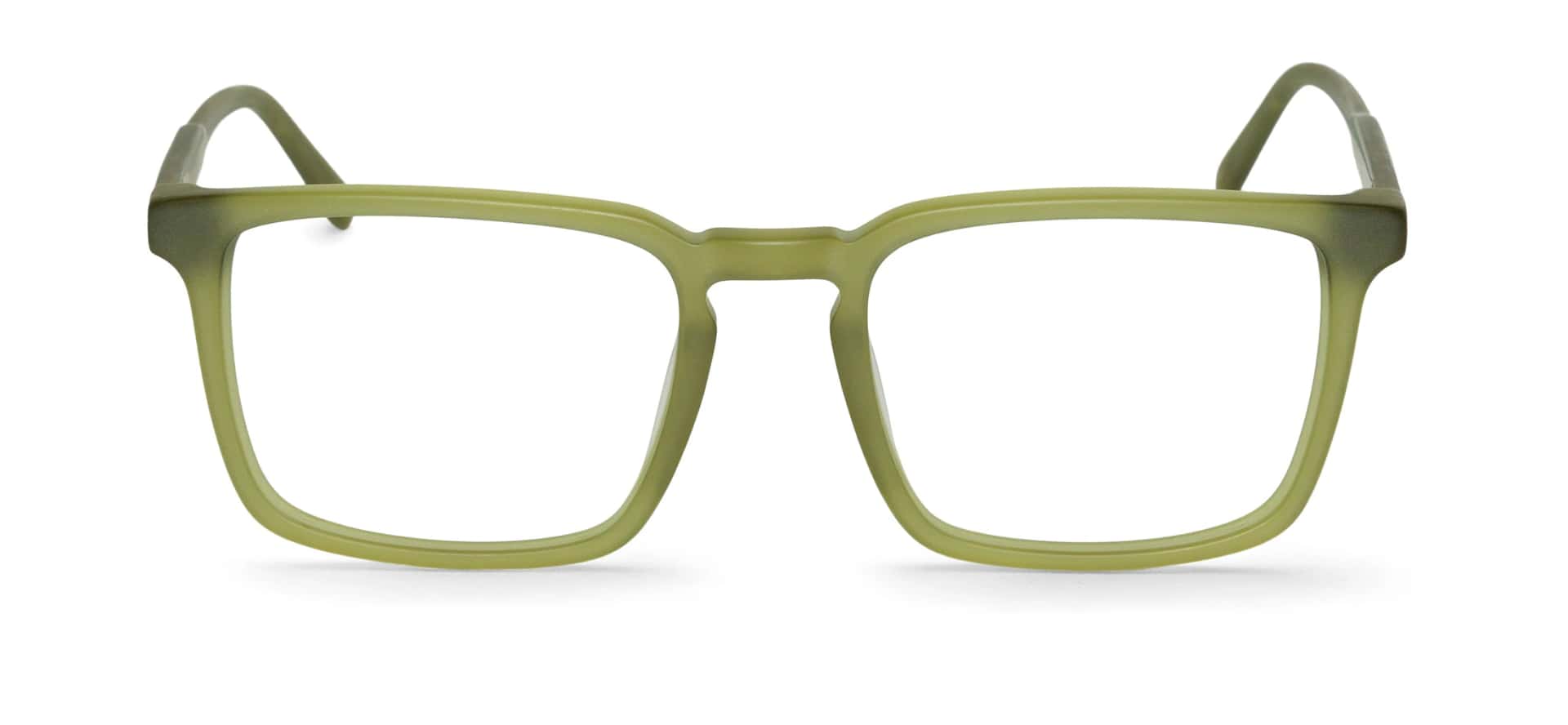 MATTE BASIL - BELCHER L