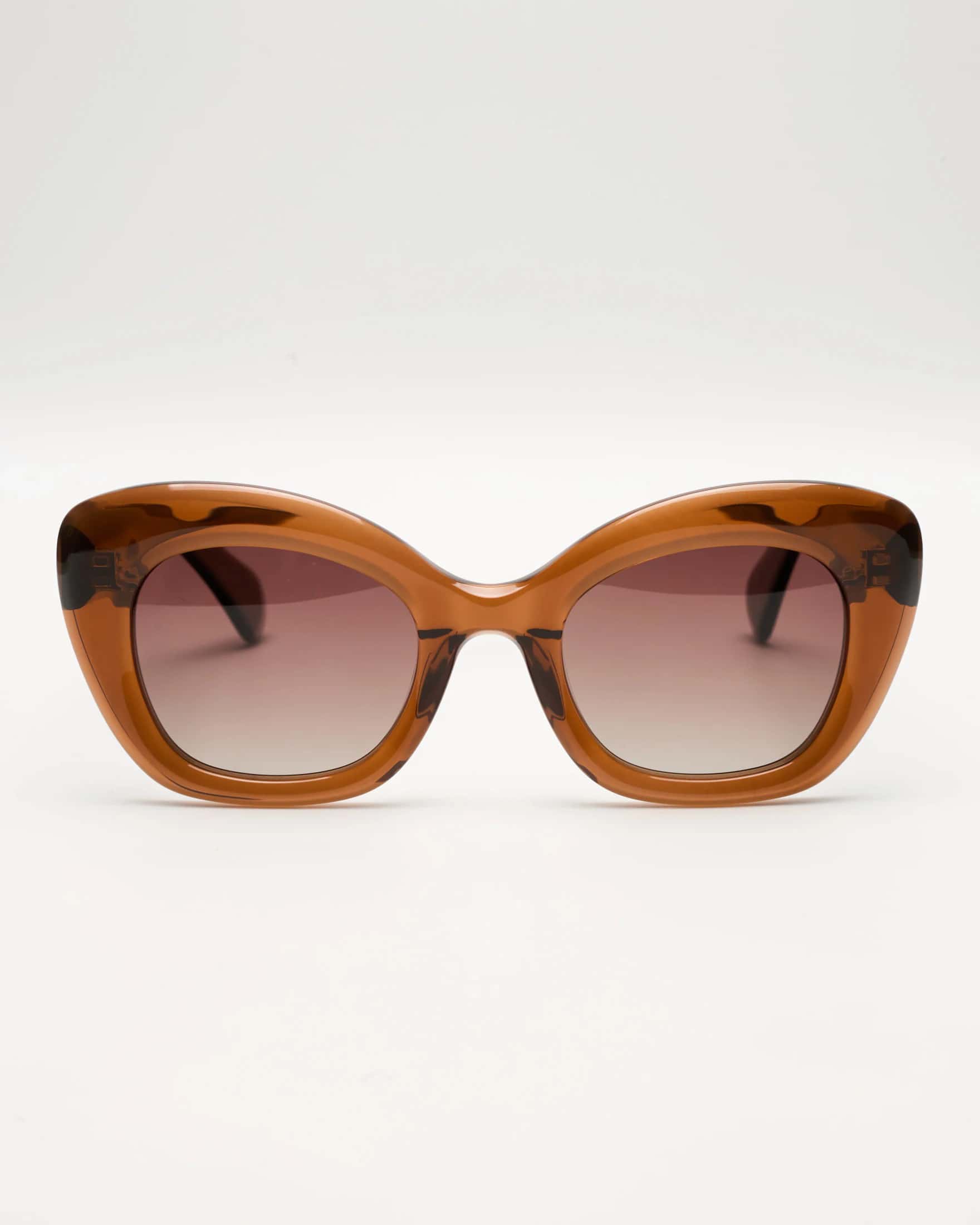 MASSIMO - CARAMEL / CHOCOLATE - miniatura 7