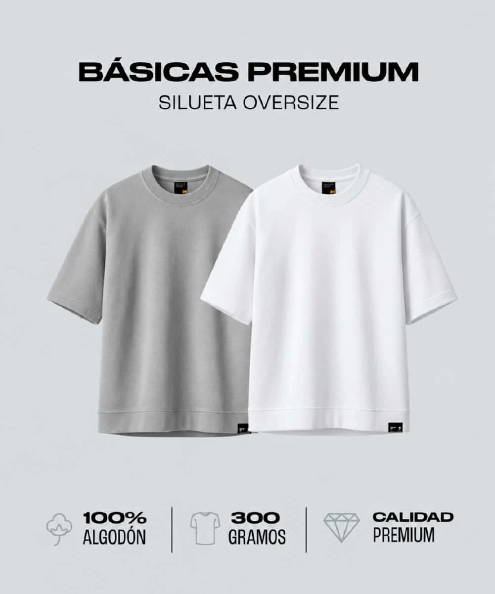 Duo Pack Camisetas Básicas Oversize Grey Matter - Premium 300G