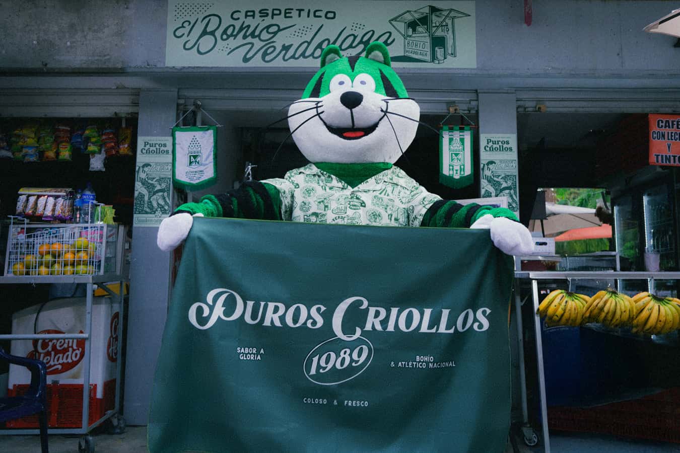 TOALLA DOBLE FAZ PUROS CRIOLLOS BOHIO