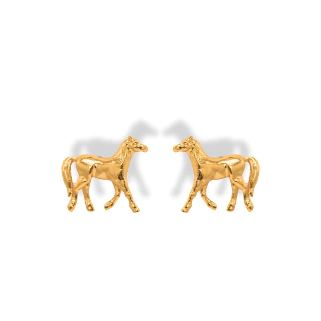 Aretes de caballo - miniatura 1