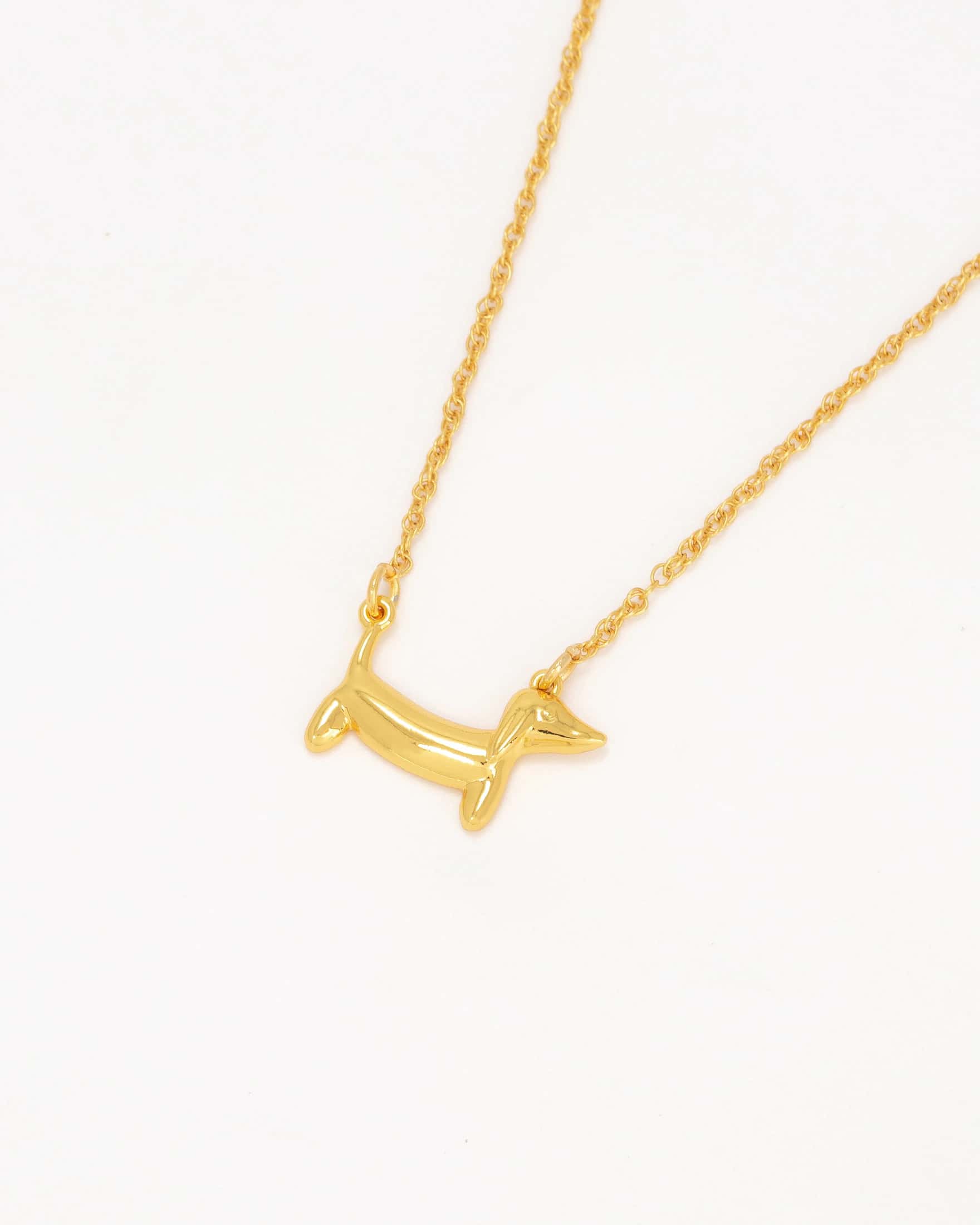 Collar Perro