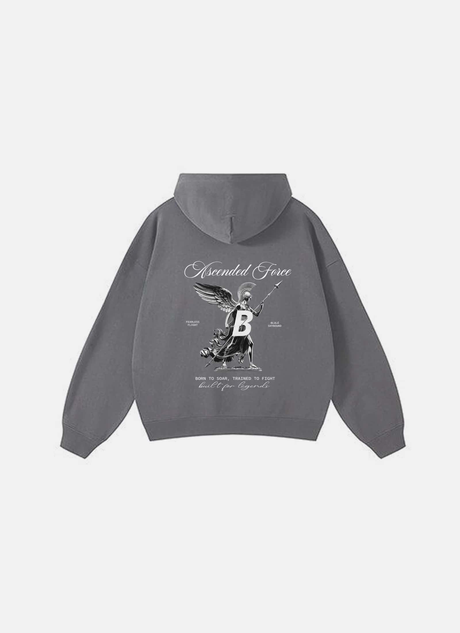 Ascended Force Hoodie Grey