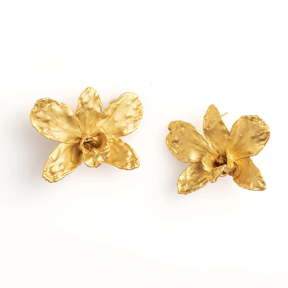 Yellow Dendrobium Studs