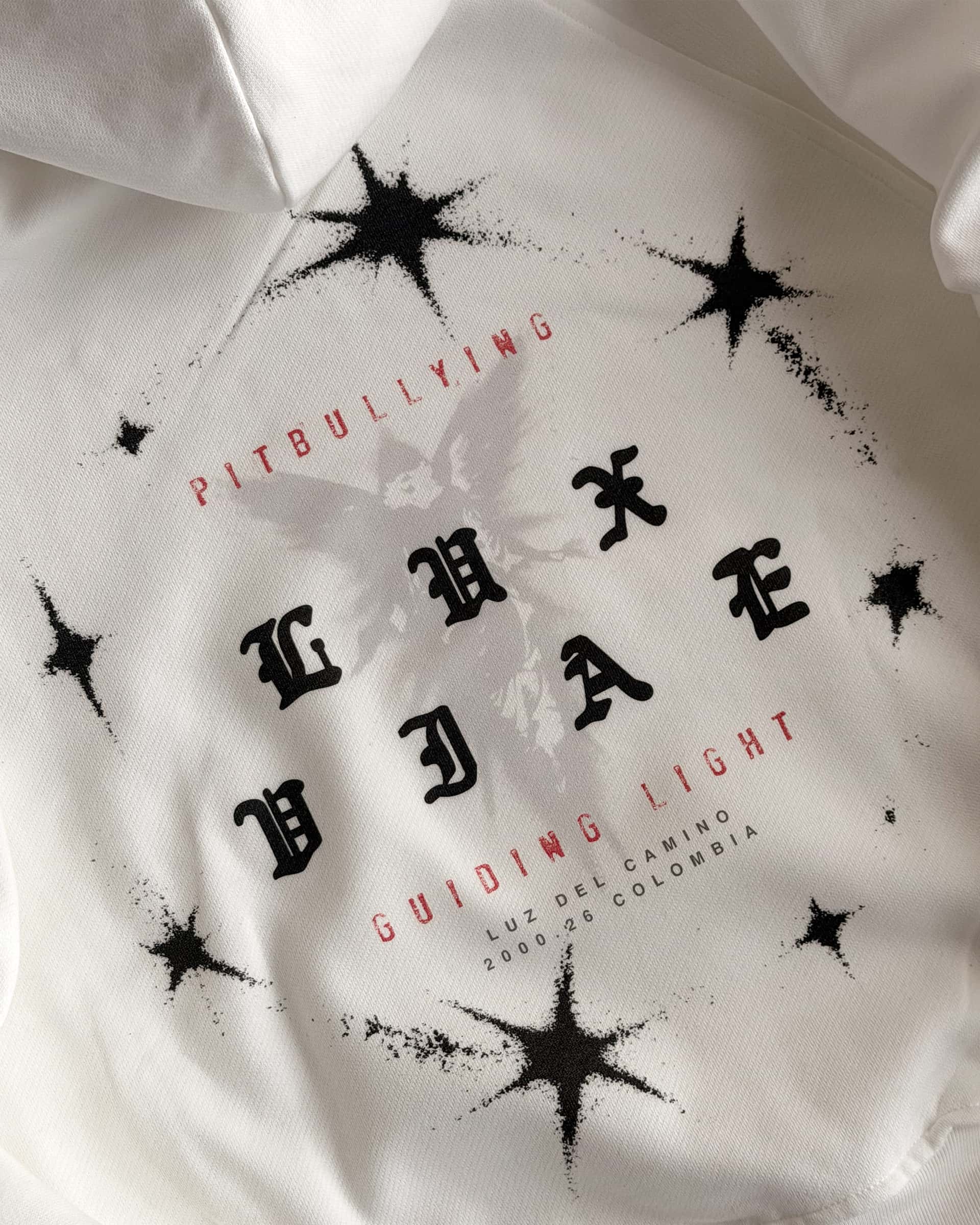 HOODIE OVERSIZE CRUDO GUIDING LIGHT - miniatura 7