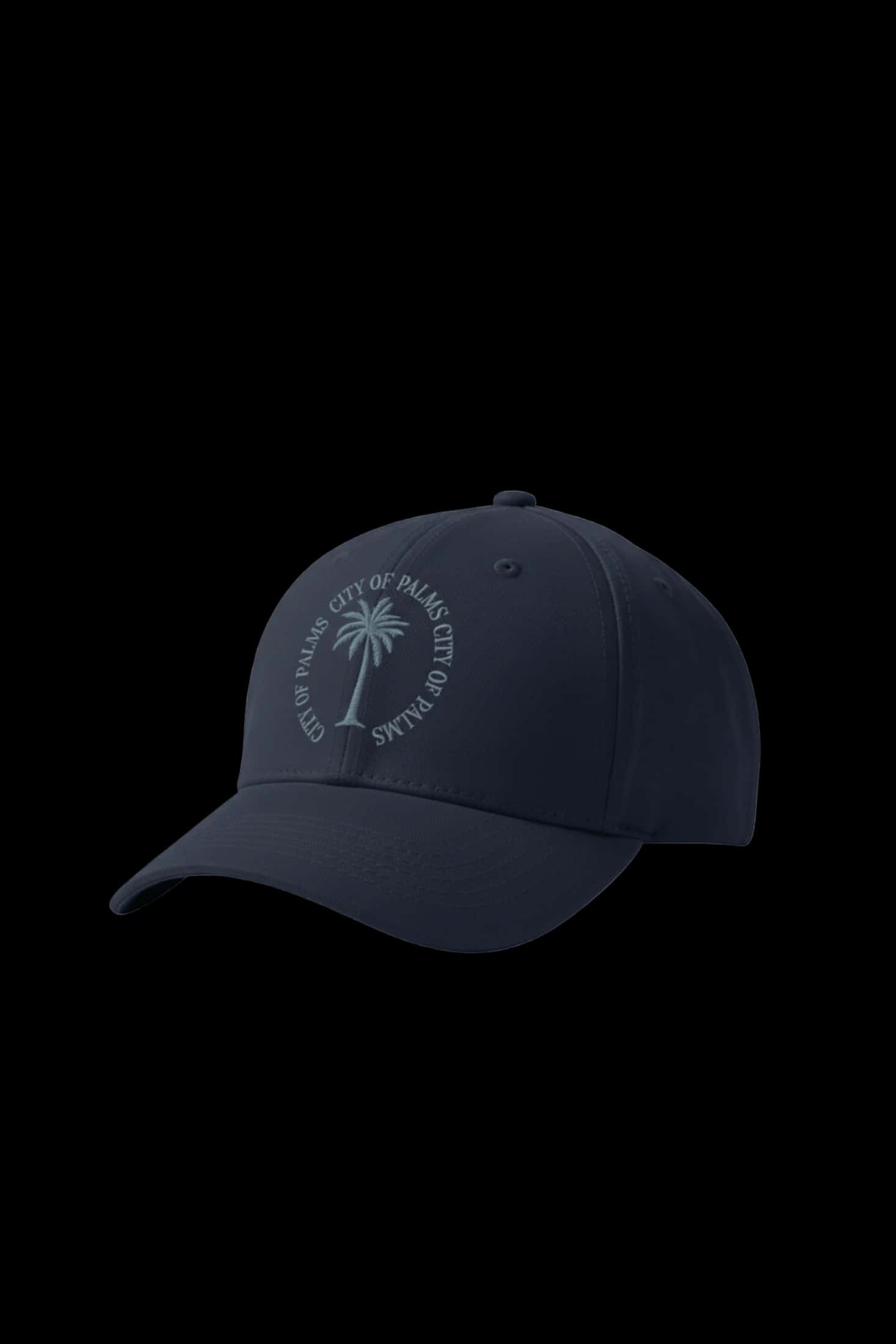 Gorra City of Palms