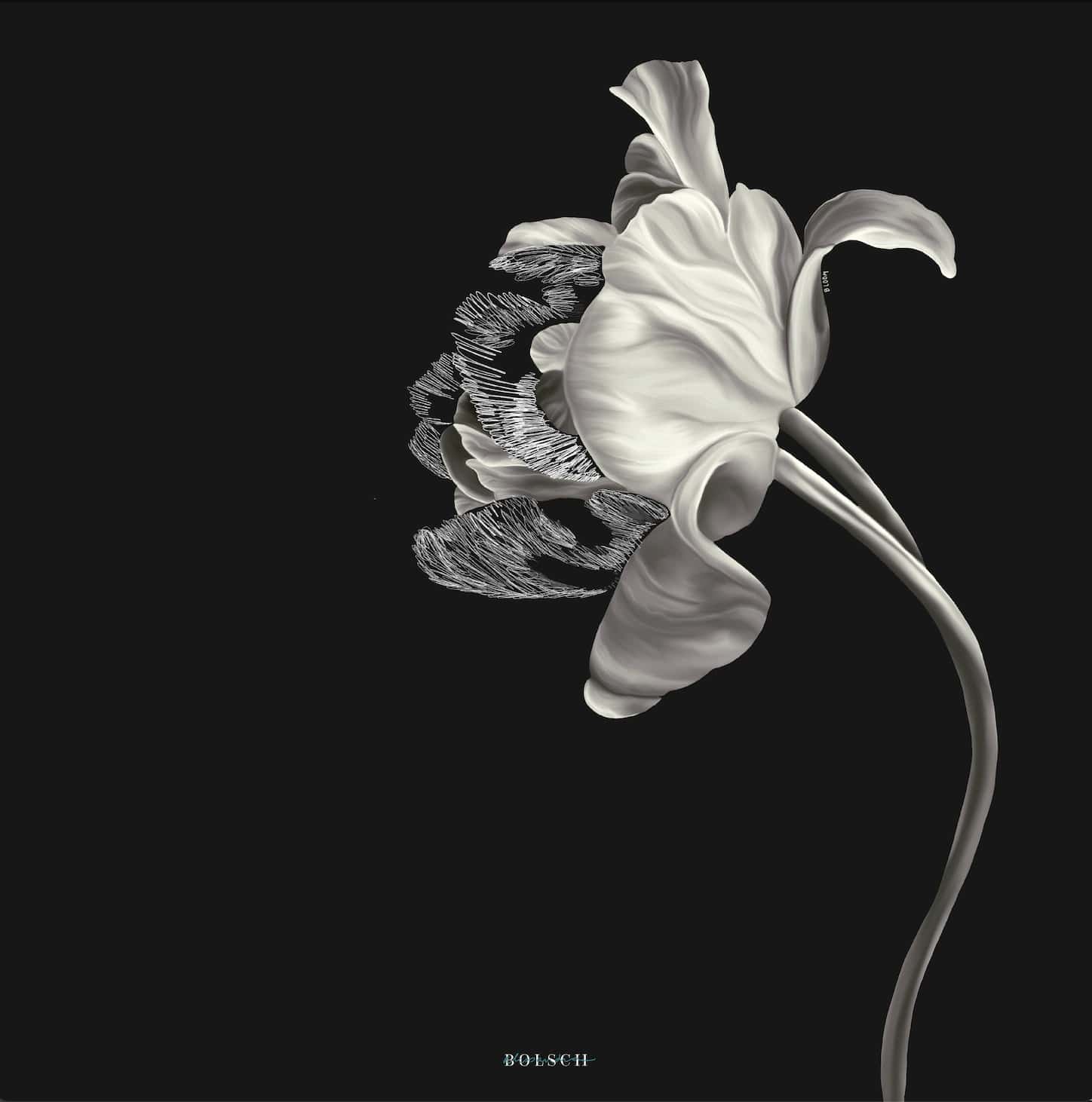 BLOOM