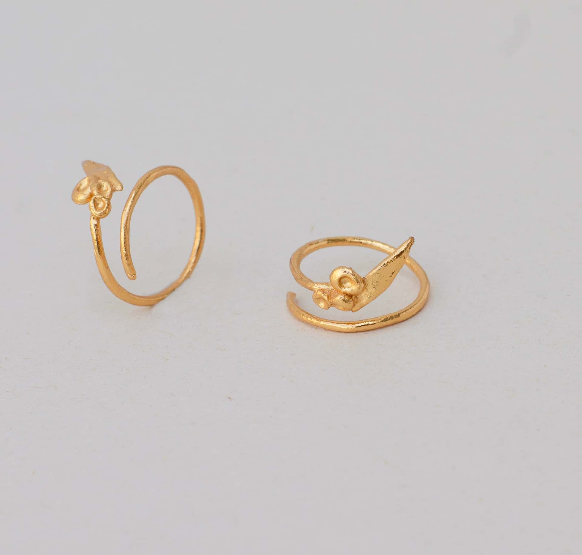Anillo fruto olivos