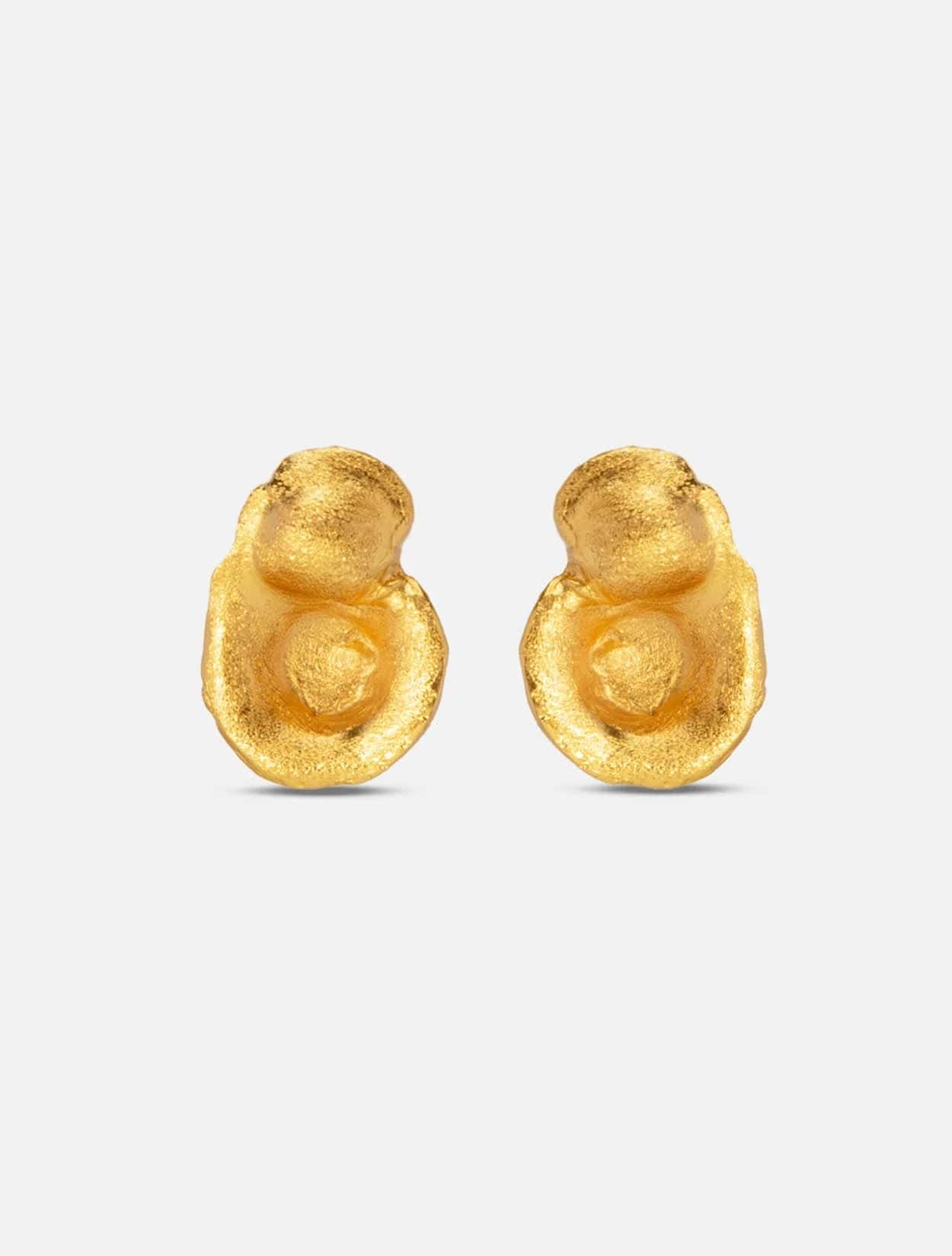 ARETES FIBA