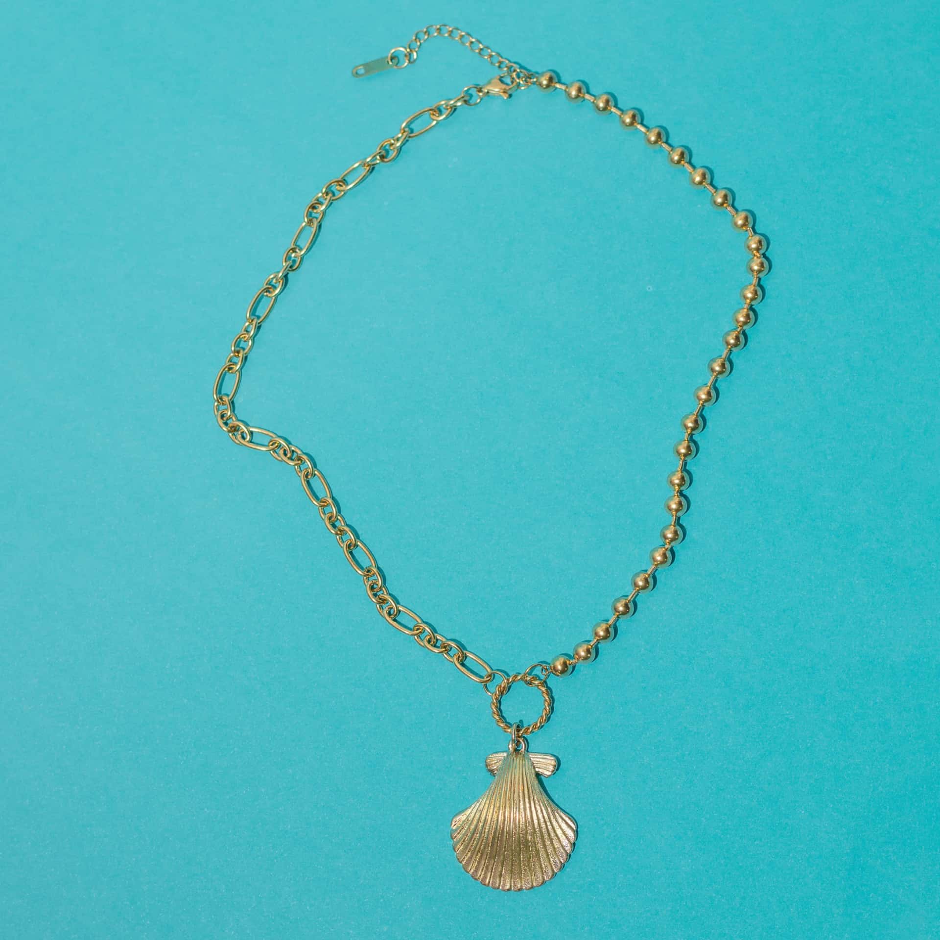 Collar Acero concha