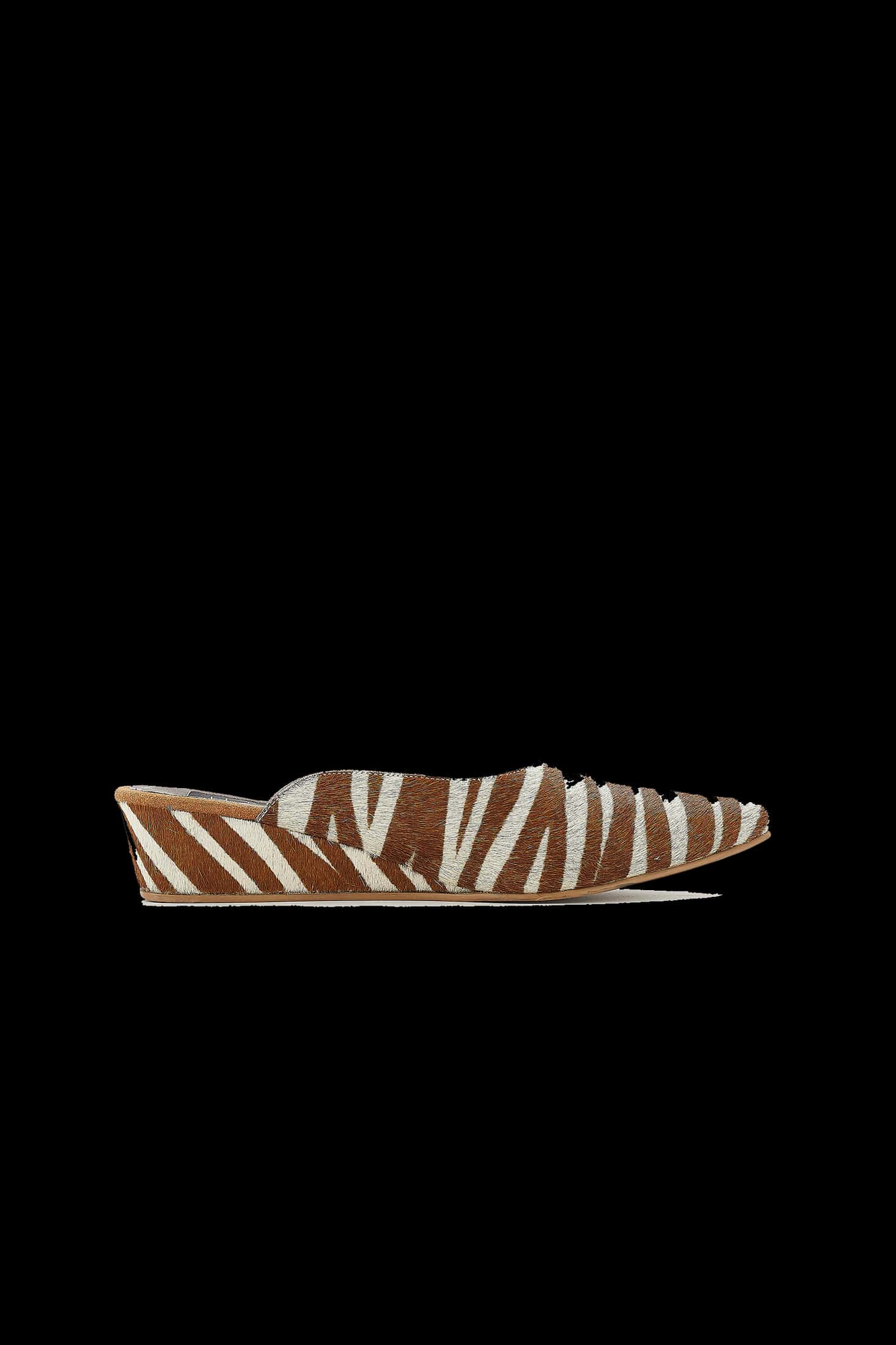 SASARI ZEBRA