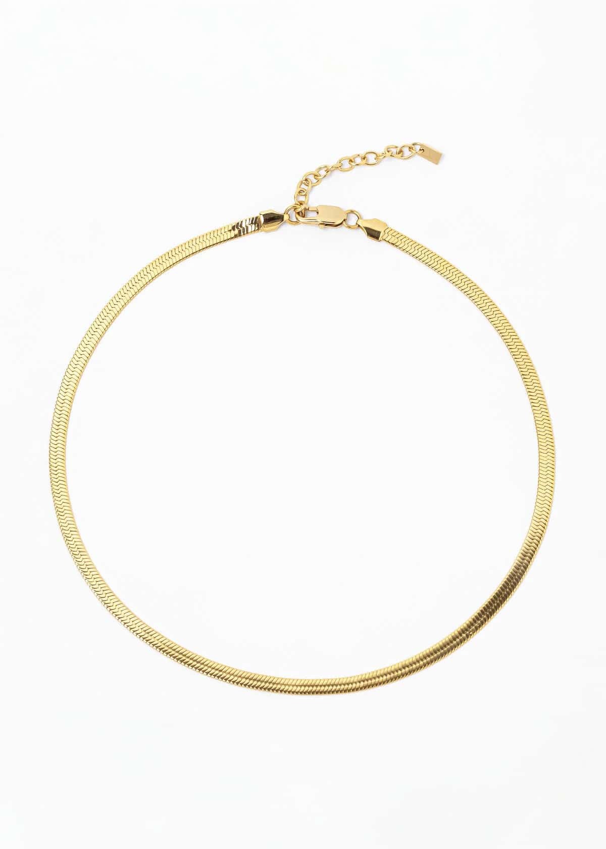 Collar Fidi Rosado - miniatura 4